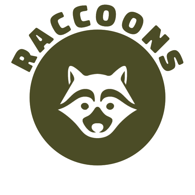 Raccoon_control