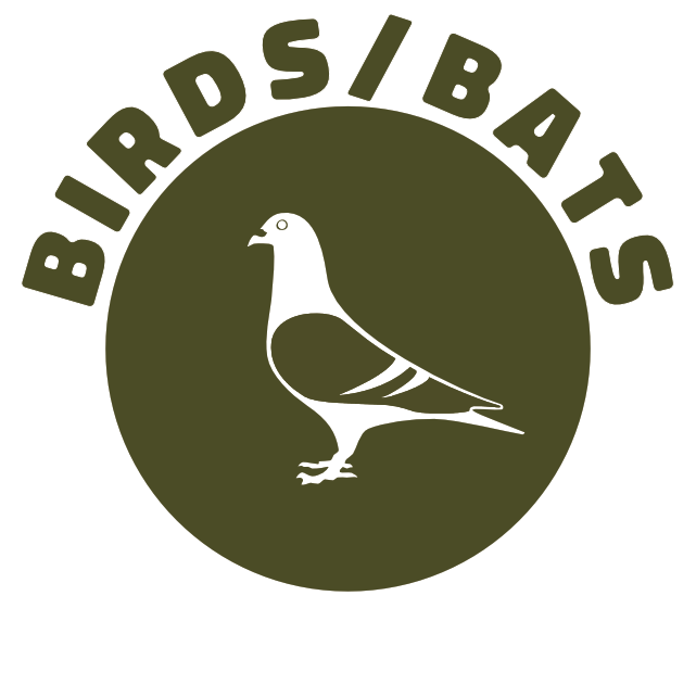 Birds_pigeons_bats