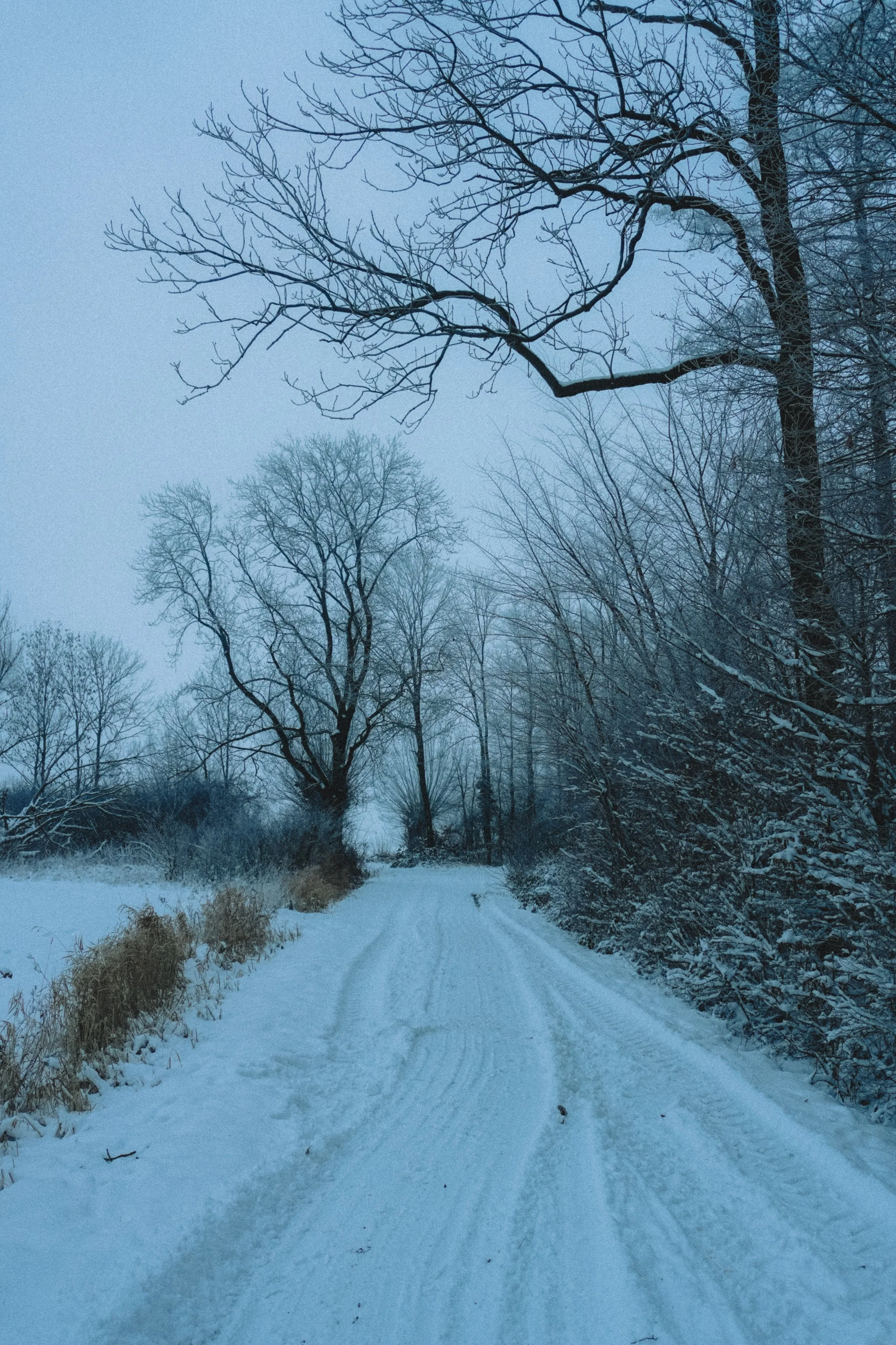 DSC00035.jpg