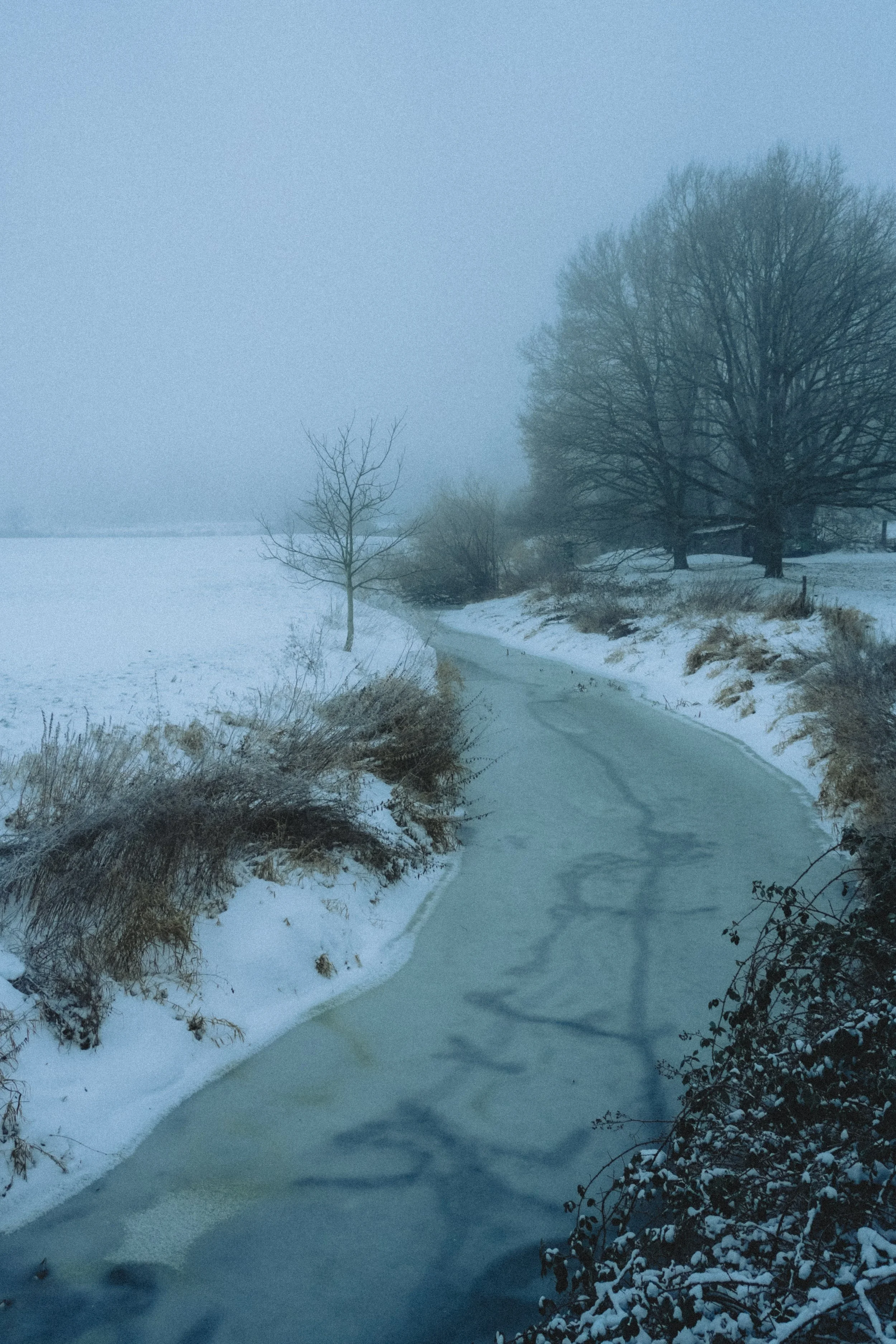 DSC00041.jpg