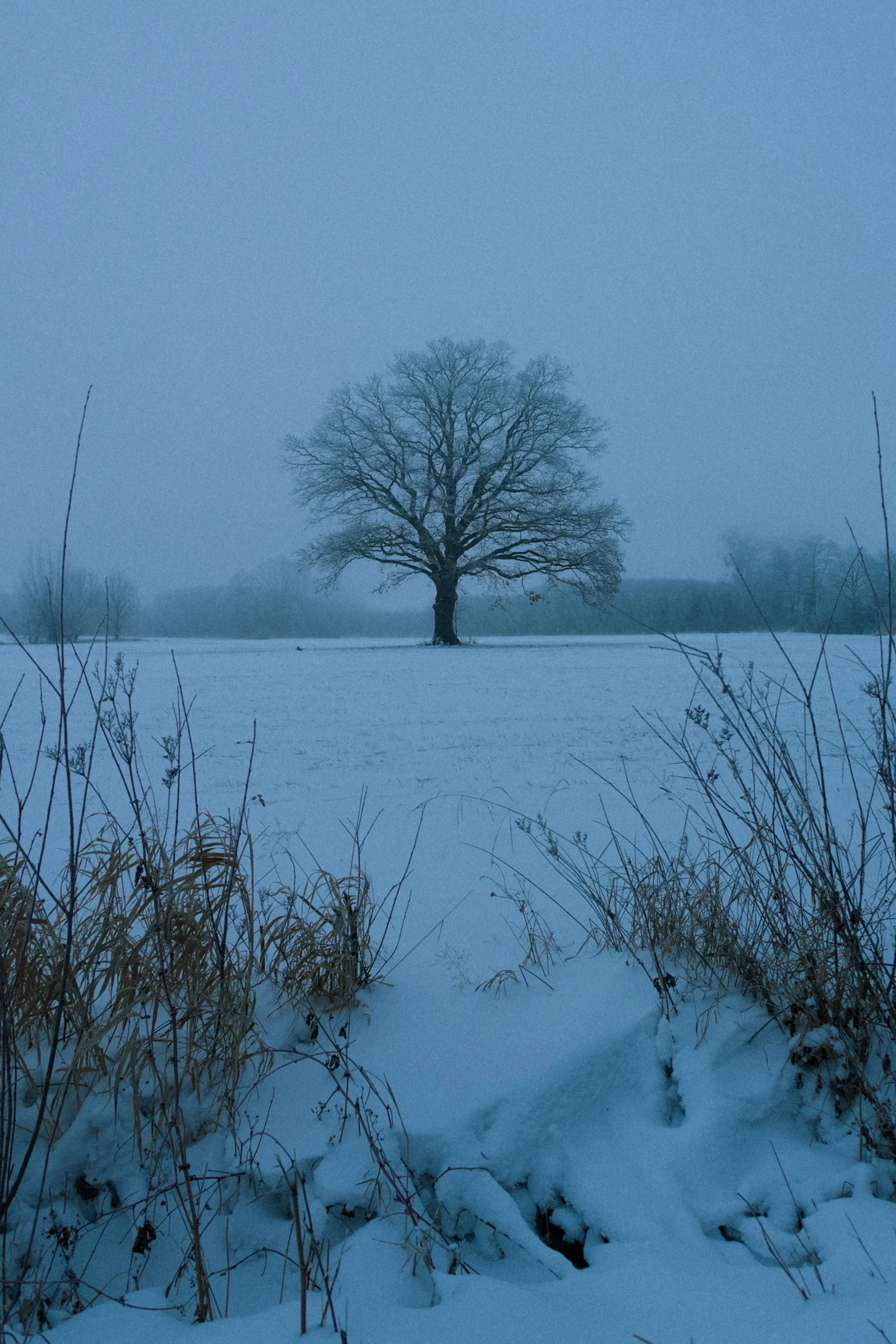 DSC00050.jpg
