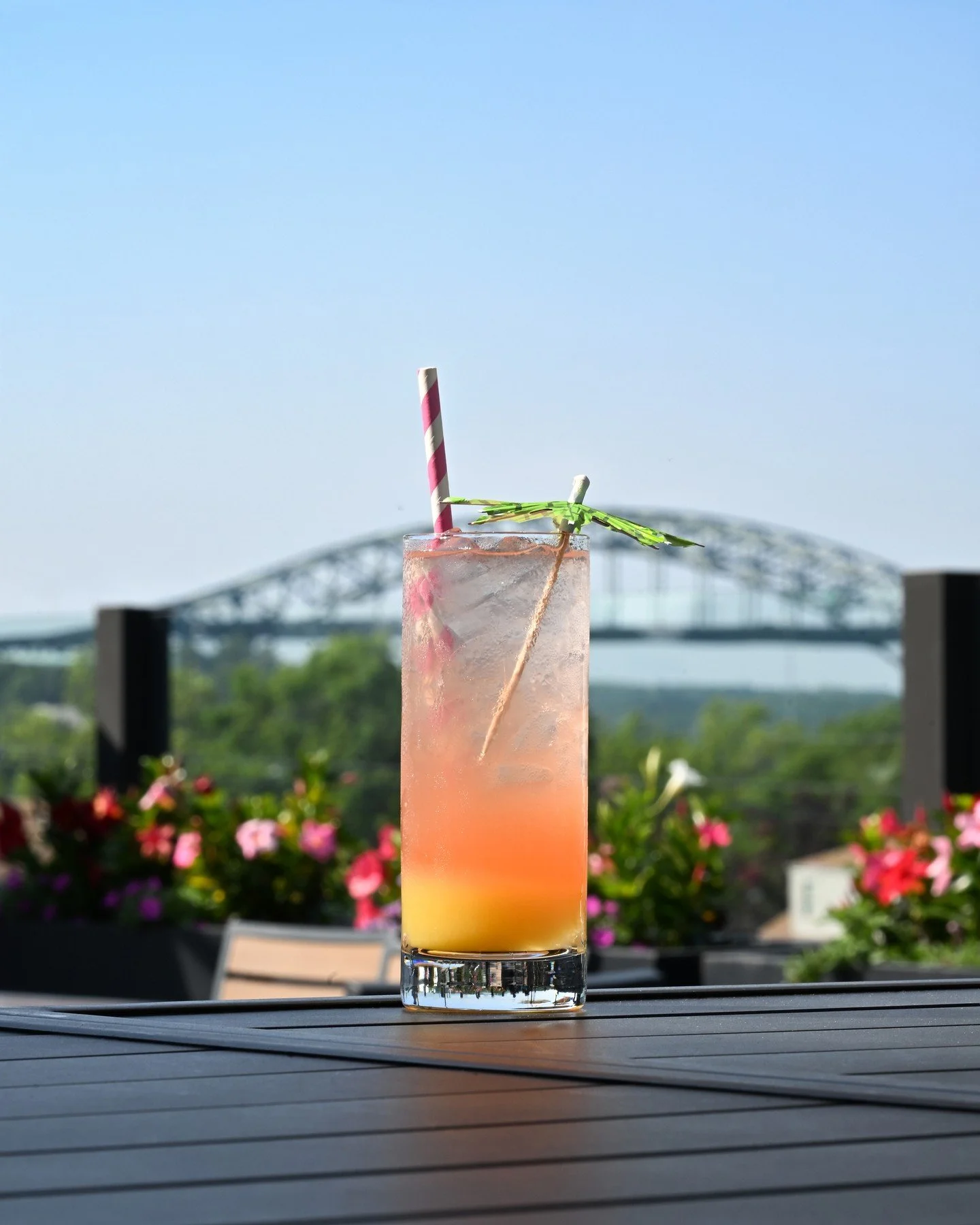 Color this rooftop moment 🍹✨ Bold flavors, vibrant sips, and a view that pairs perfectly with every pour.

#RooftopViews #CraftCocktails #PortsmouthNH #SipInStyle #RooftopatTheEnvio #VisitPortsmouth #GoPortsmouth #DiscoverPortsmouth