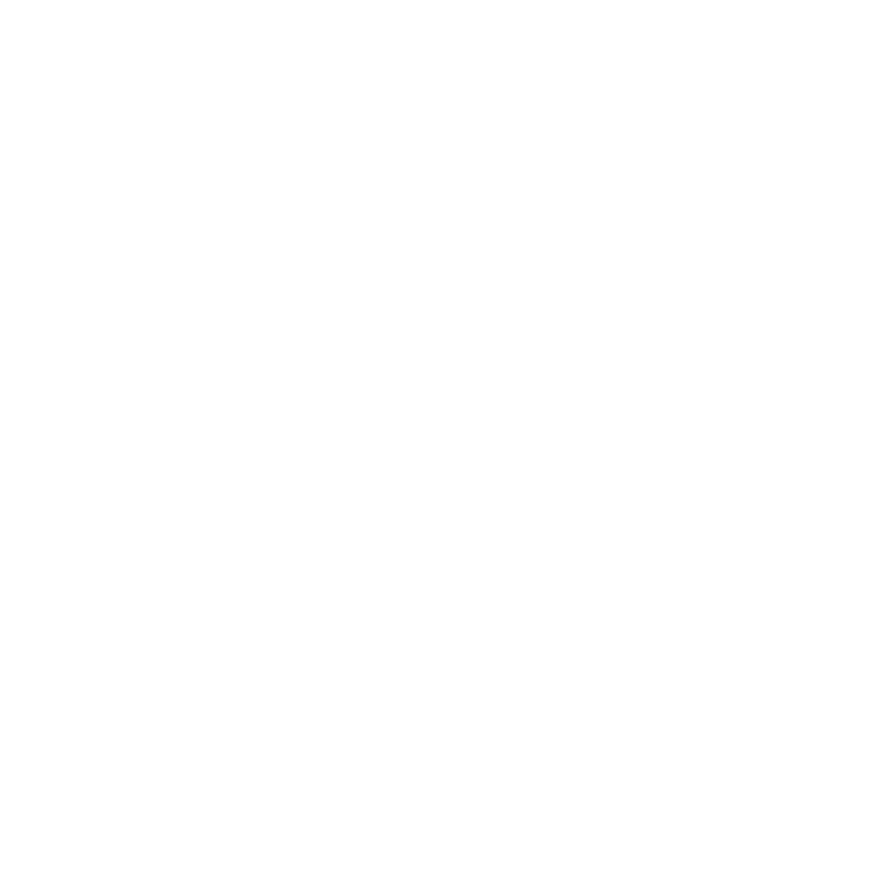 Flamenco Rosanne Dion