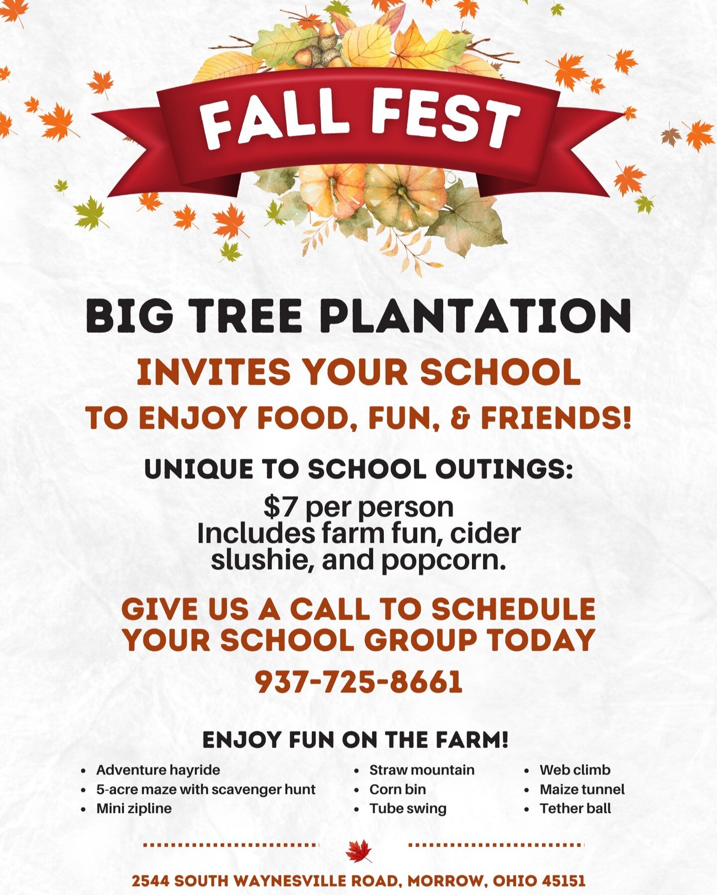 🍂Fall fests are the perfect field trip destination for schools!🍂
🌽Give your students an unforgettable fall experience with a field trip to Big Tree Plantation.🎃 With activities for all ages, including hayrides, outdoor farm fun play yard (complet