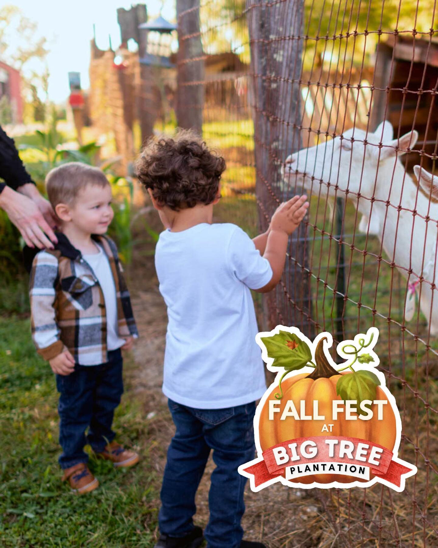 🍂Fall into FUN one more weekend at Big Tree's Fall Fest!🍁Look no further for all-inclusive barnyard fun this weekend! 🚜Get your tickets before you get here!