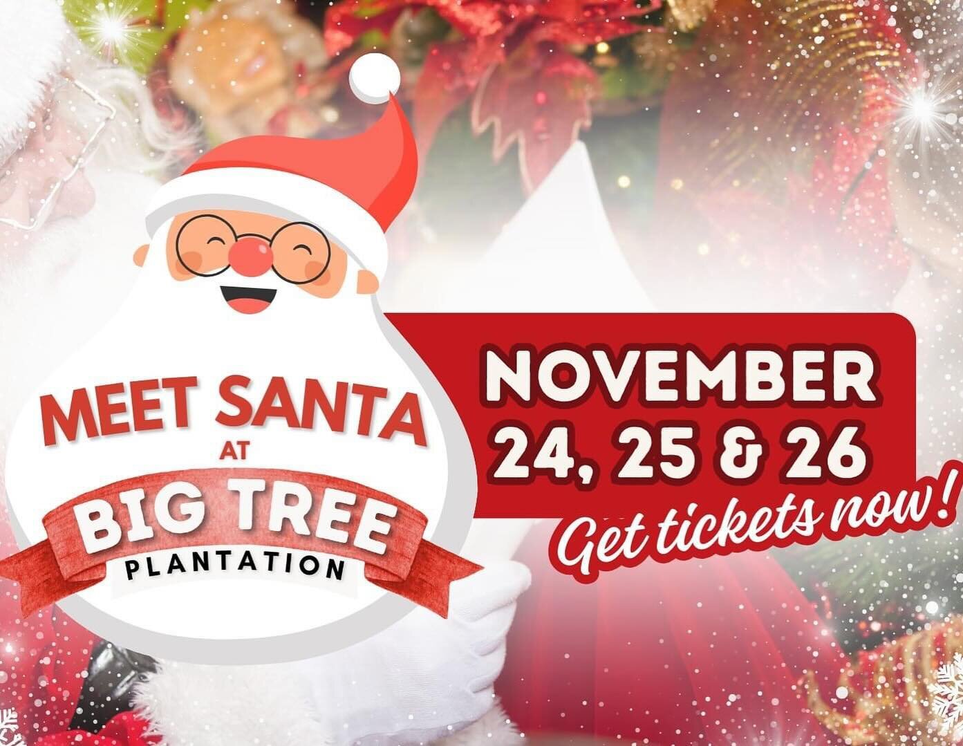 Come get photos with Santa next weekend at Big Tree! Tickets are available on our website bigtreeplantation.com/tickets