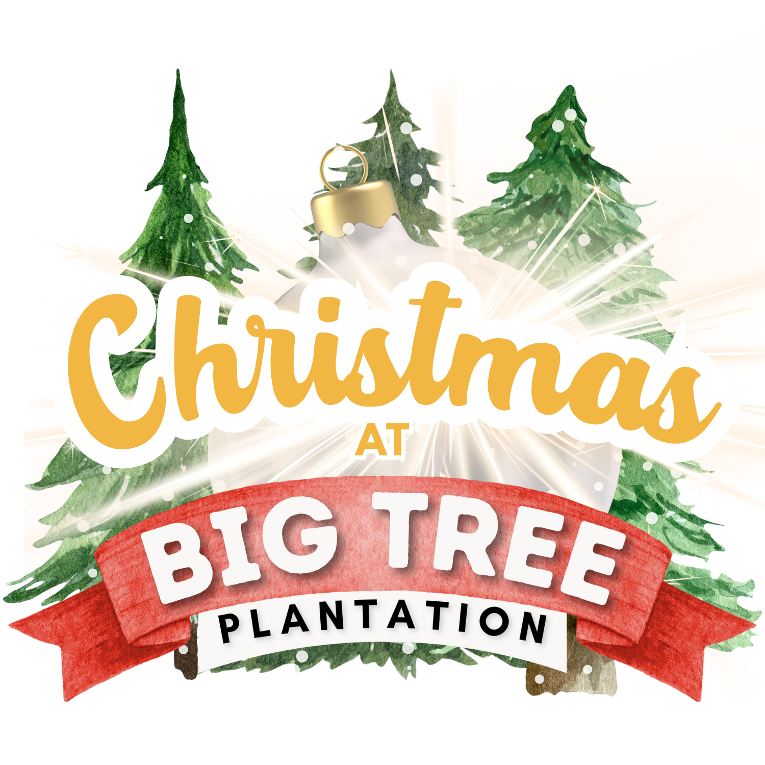 christmas-trees-and-gift-shop-in-morrow-ohio-family-fall-fest-and