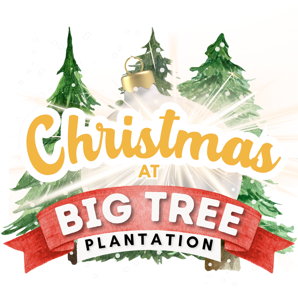 Christmas Trees and Gift Shop in Morrow, Ohio — Family Fall Fest and