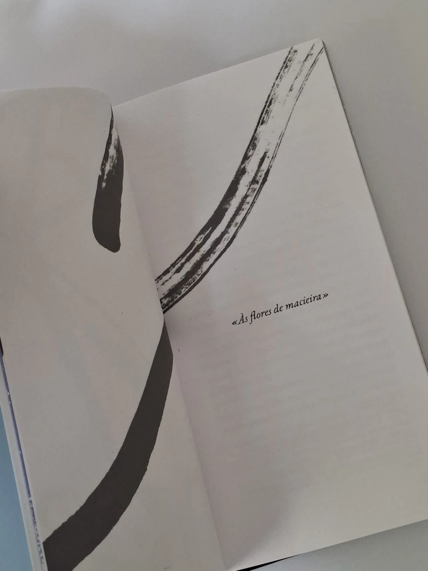 Khvylhovy Khvylovy Eu (Romance) literatura ucraniana tradução português 1924 revolução Renascença Executada Renascimento Executado novo livro dedicatória às flores de macieira