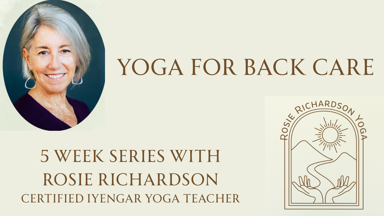 Yoga for Back Care - an Iyengar Yoga Series