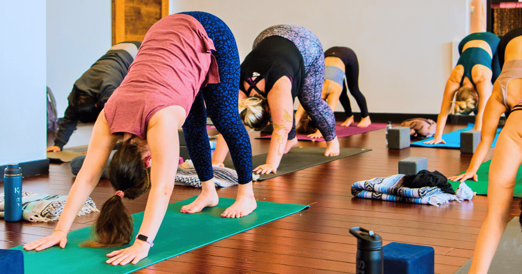 People practice yoga in downward facing dog on yoga mats in yoga class at Boston Yoga Union in Coolidge Corner