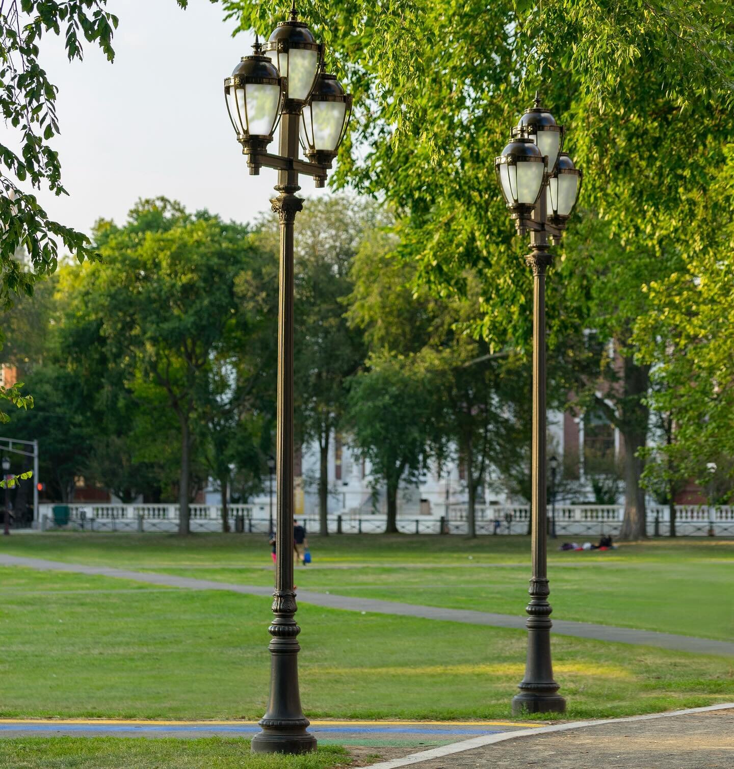 Need help with campus light pole standards? Contact us, we are here to help! #yaleuniversity #campusdesign