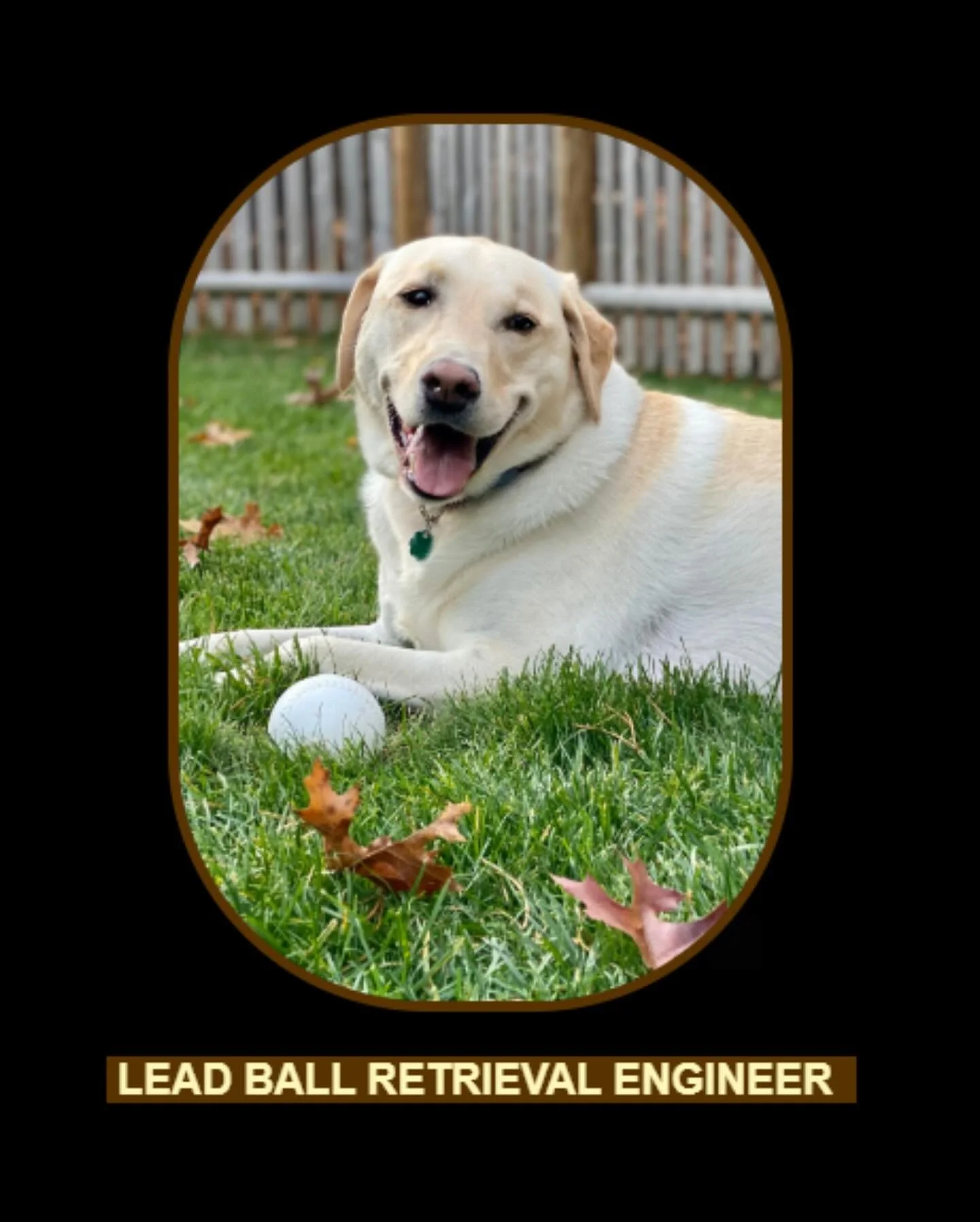 Thank you for a great 2025! In gratitude, we gave our office pets a round of well-earned promotions! They keep our spirits high, remind us to laugh, and are&mdash;like all of you&mdash;part of what makes our work feel so meaningful. #pets #community 