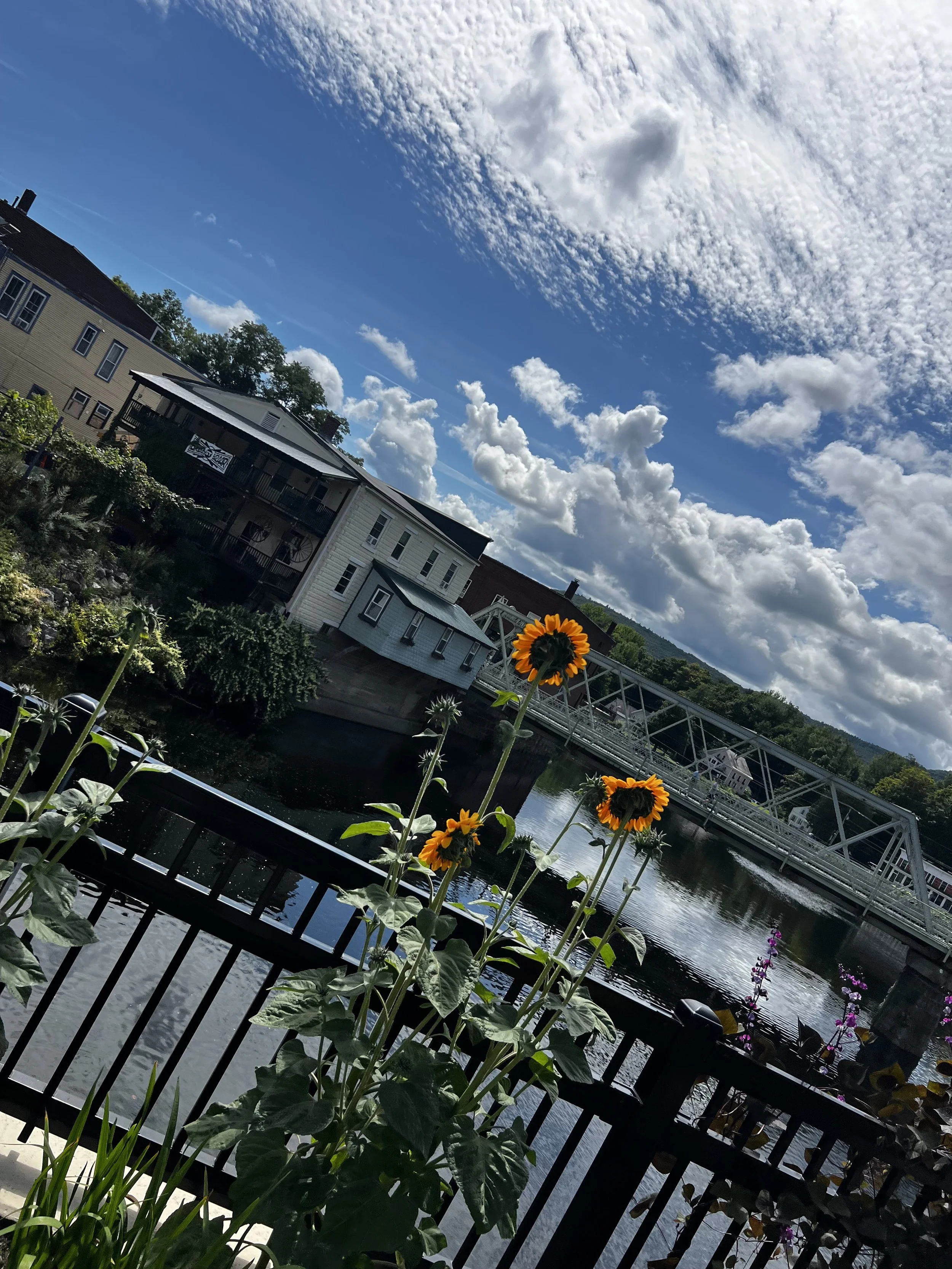 IMG_1877.jpeg