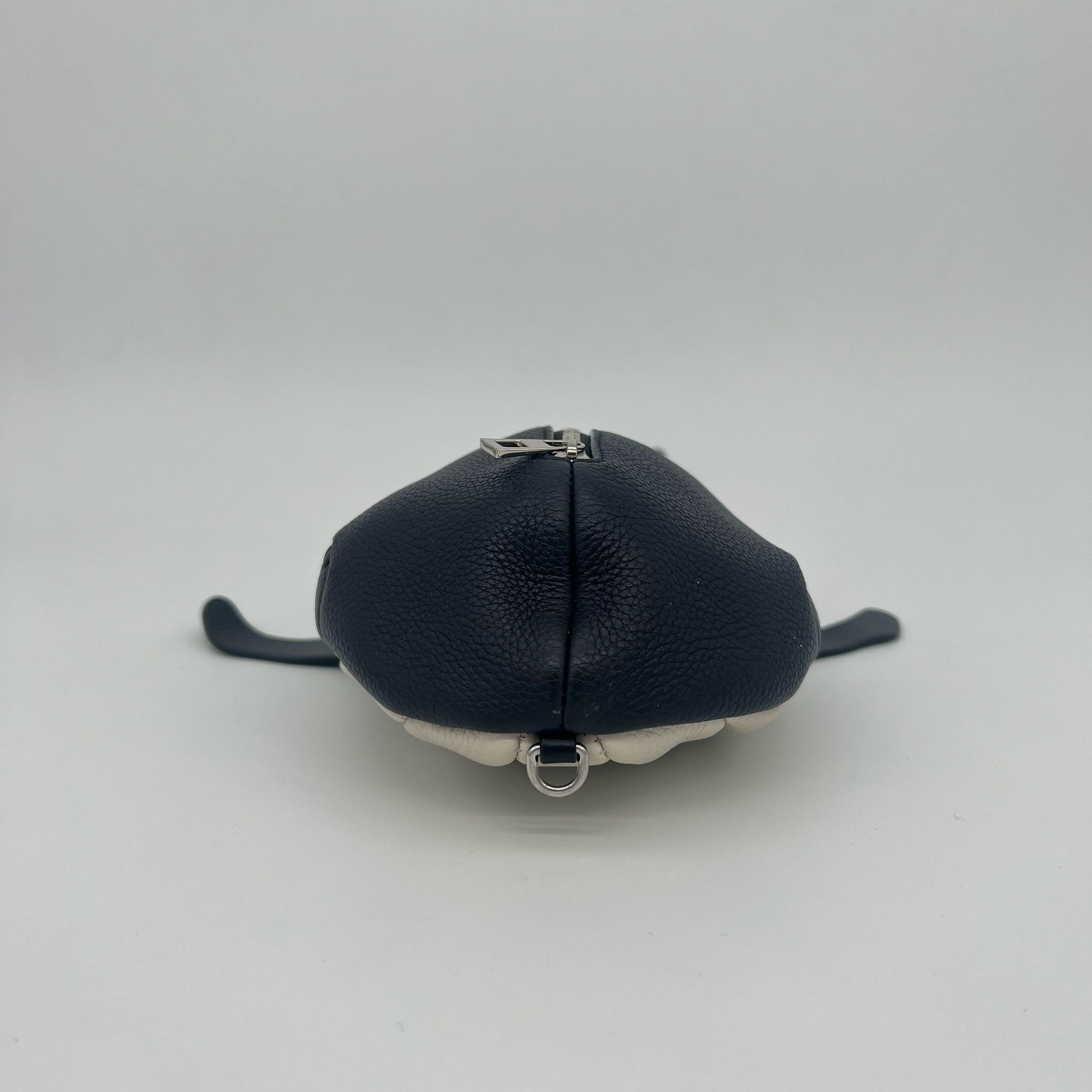 Loewe Whale Crossbody Limited Edition Bag front