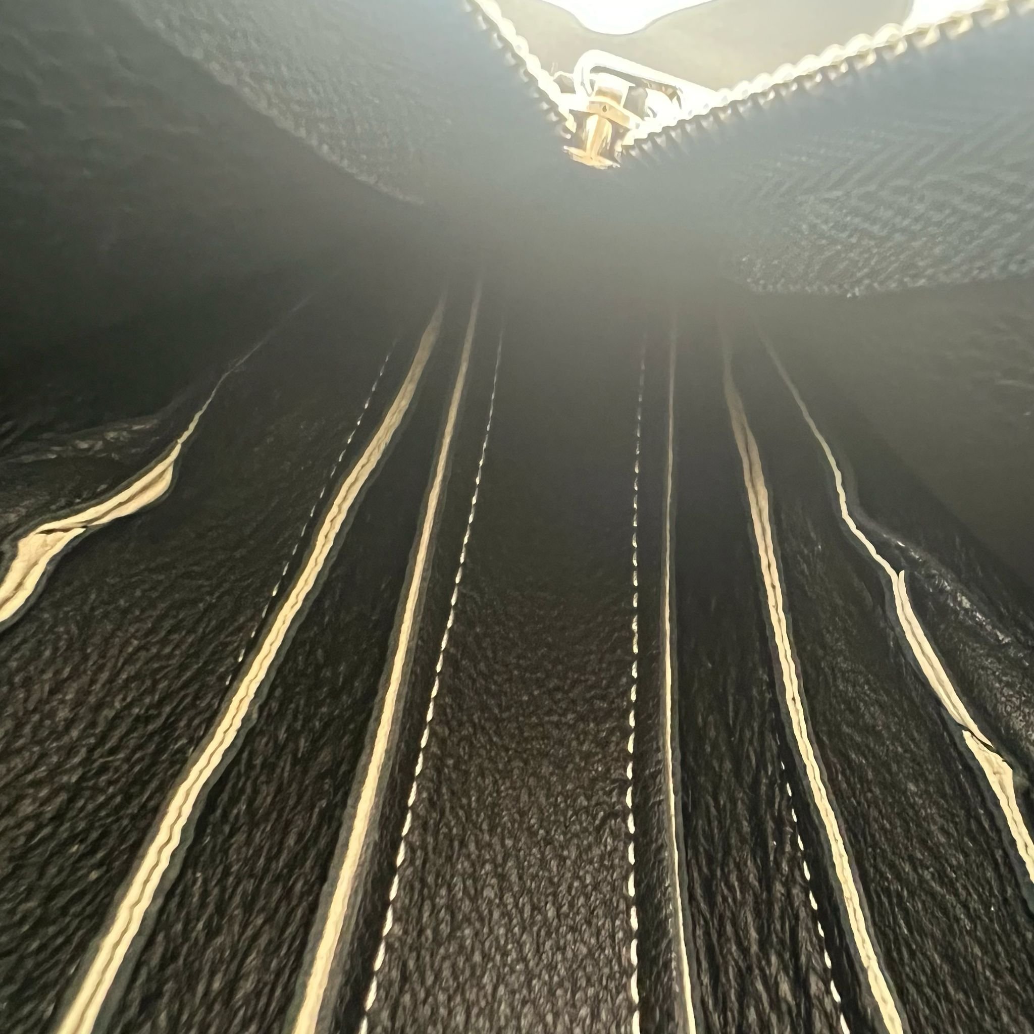 Loewe Whale Crossbody Limited Edition Bag interior