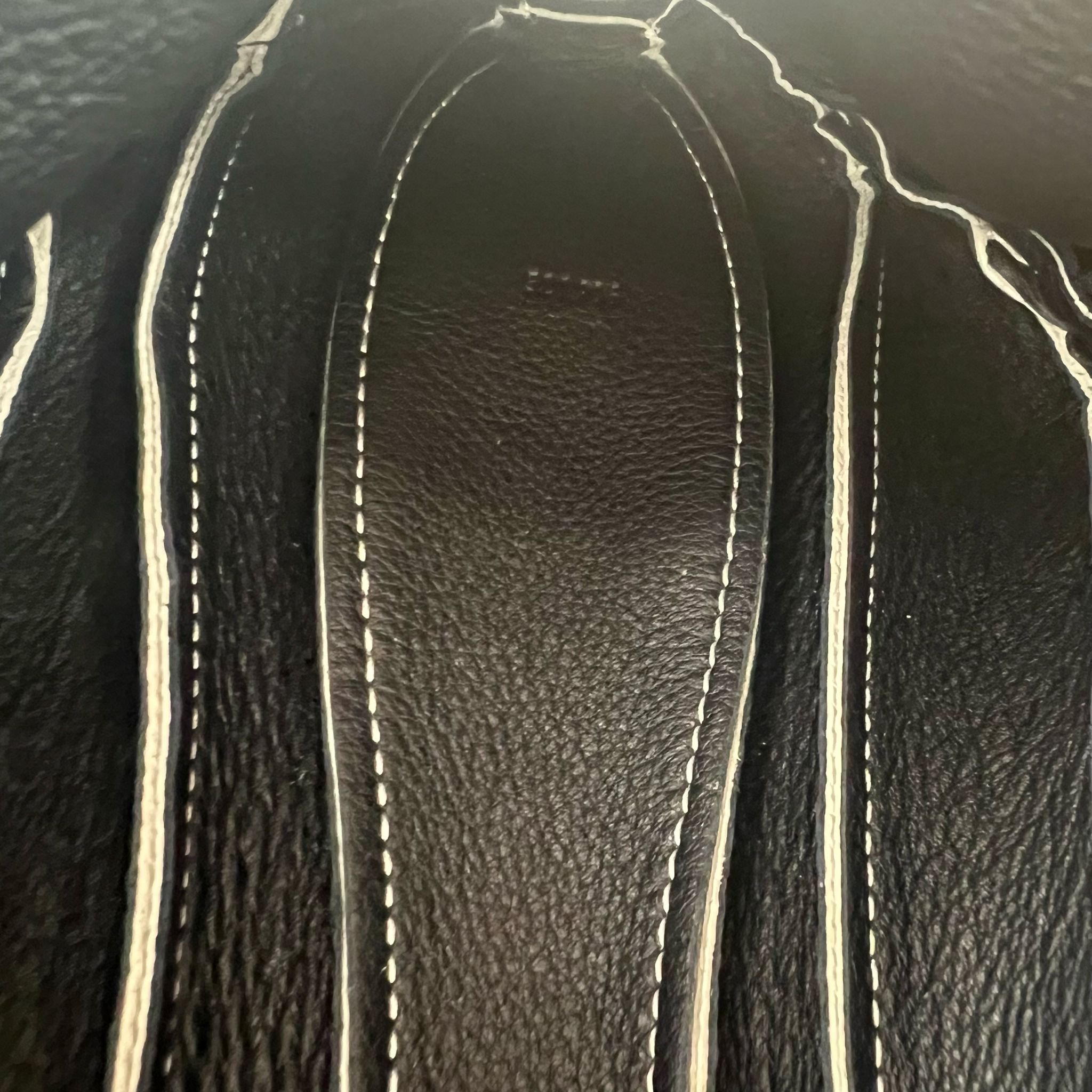 Loewe Whale Crossbody Limited Edition Bag interior