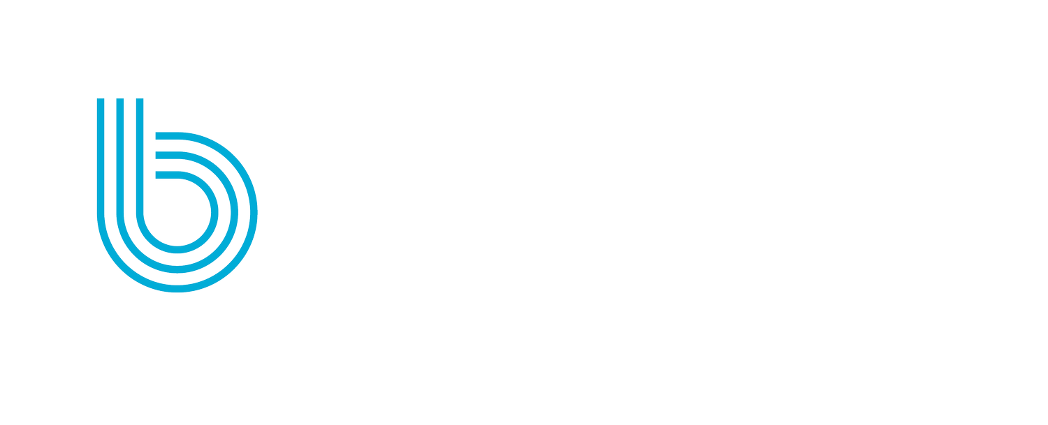 Boundless by Baker &amp; Taylor
