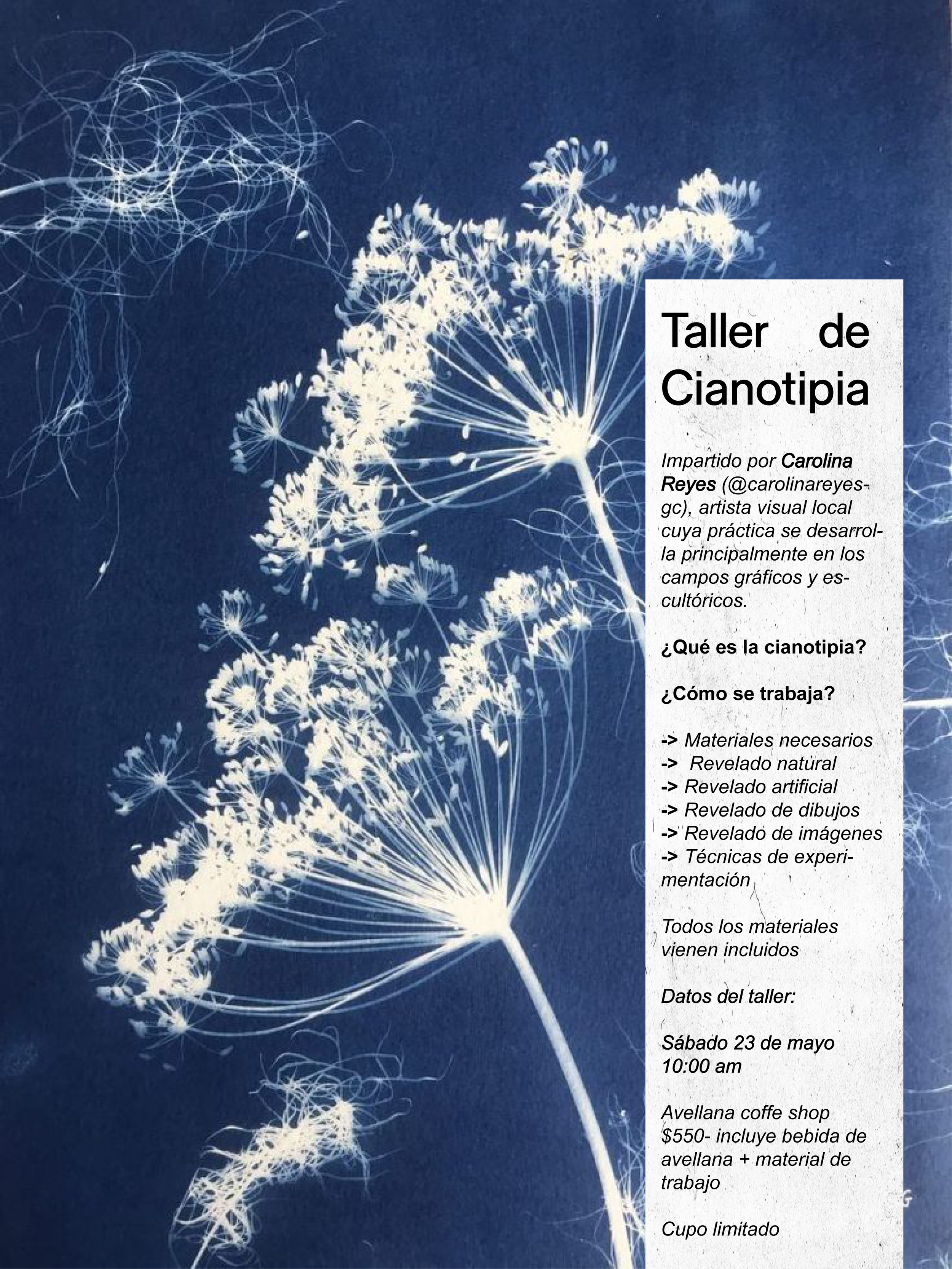 taller cianotipia