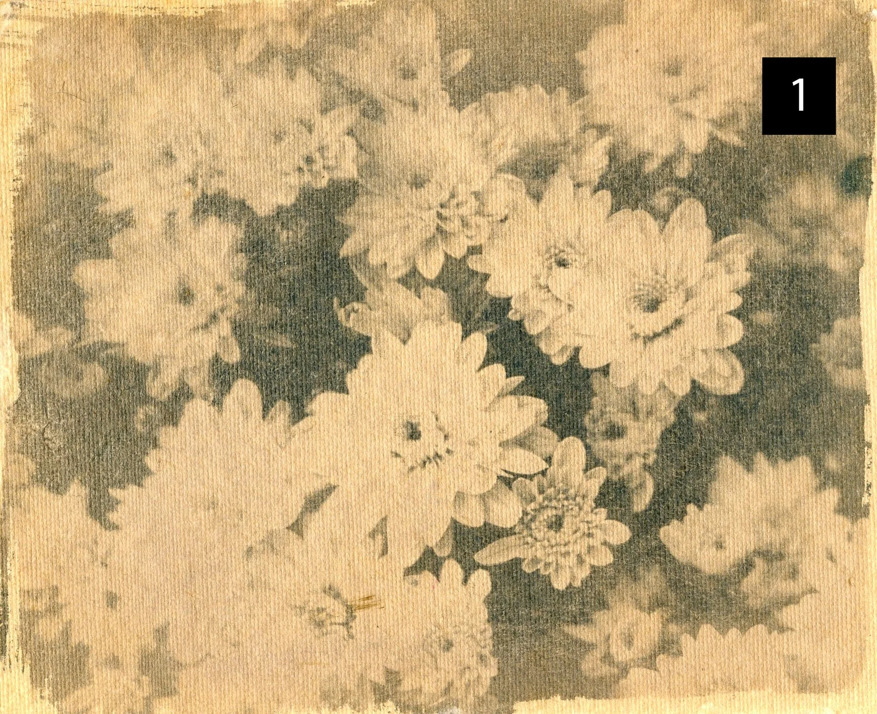 Flowers001 number.jpg