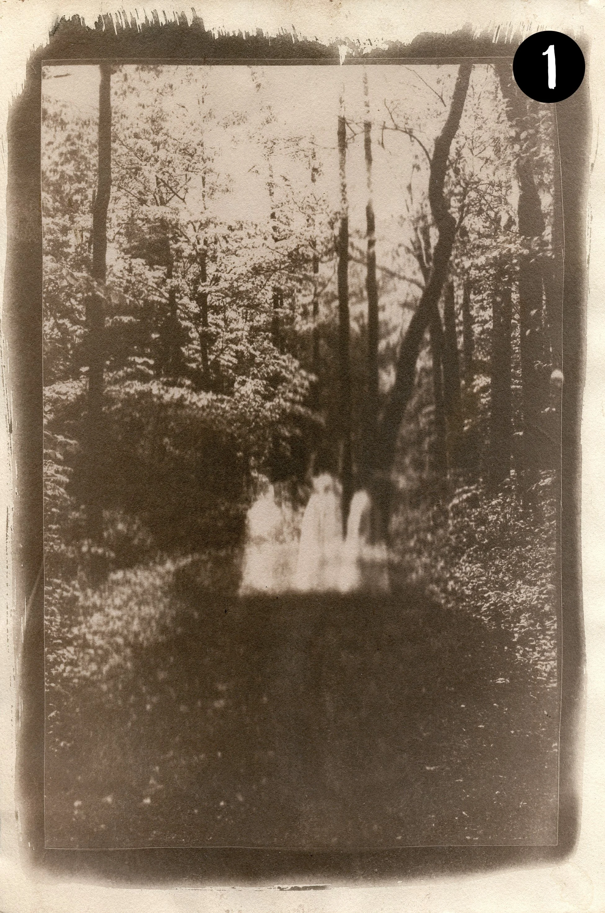 Sisters001 number.jpg
