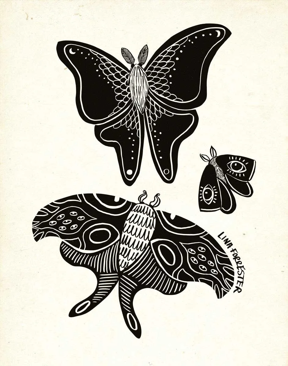 Goth-moths.jpg