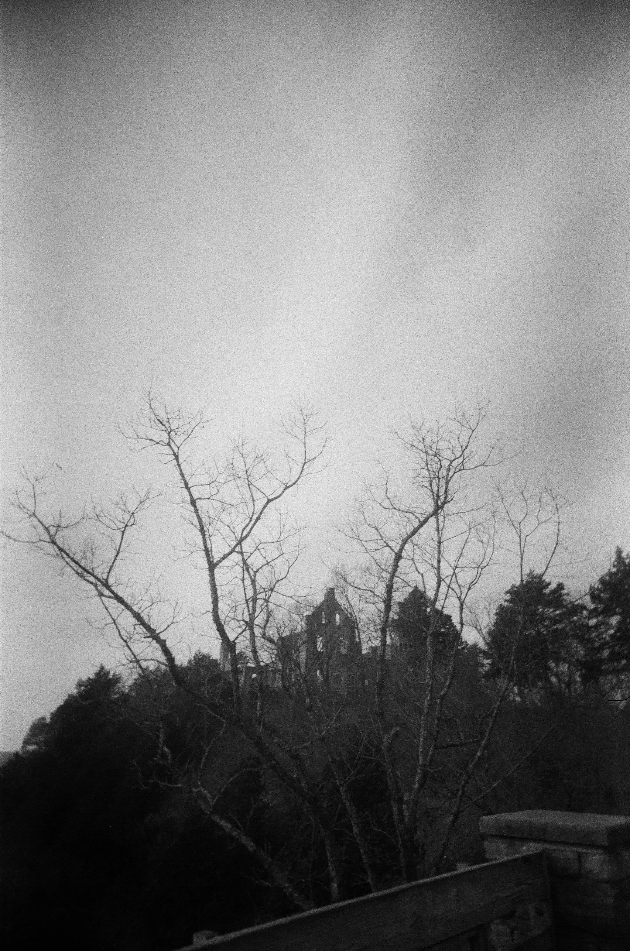 Ha Ha Tonka State Park | Missouri