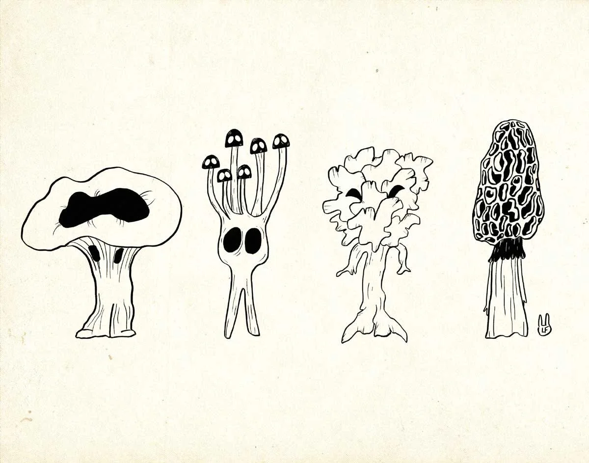 Mushroom.jpg