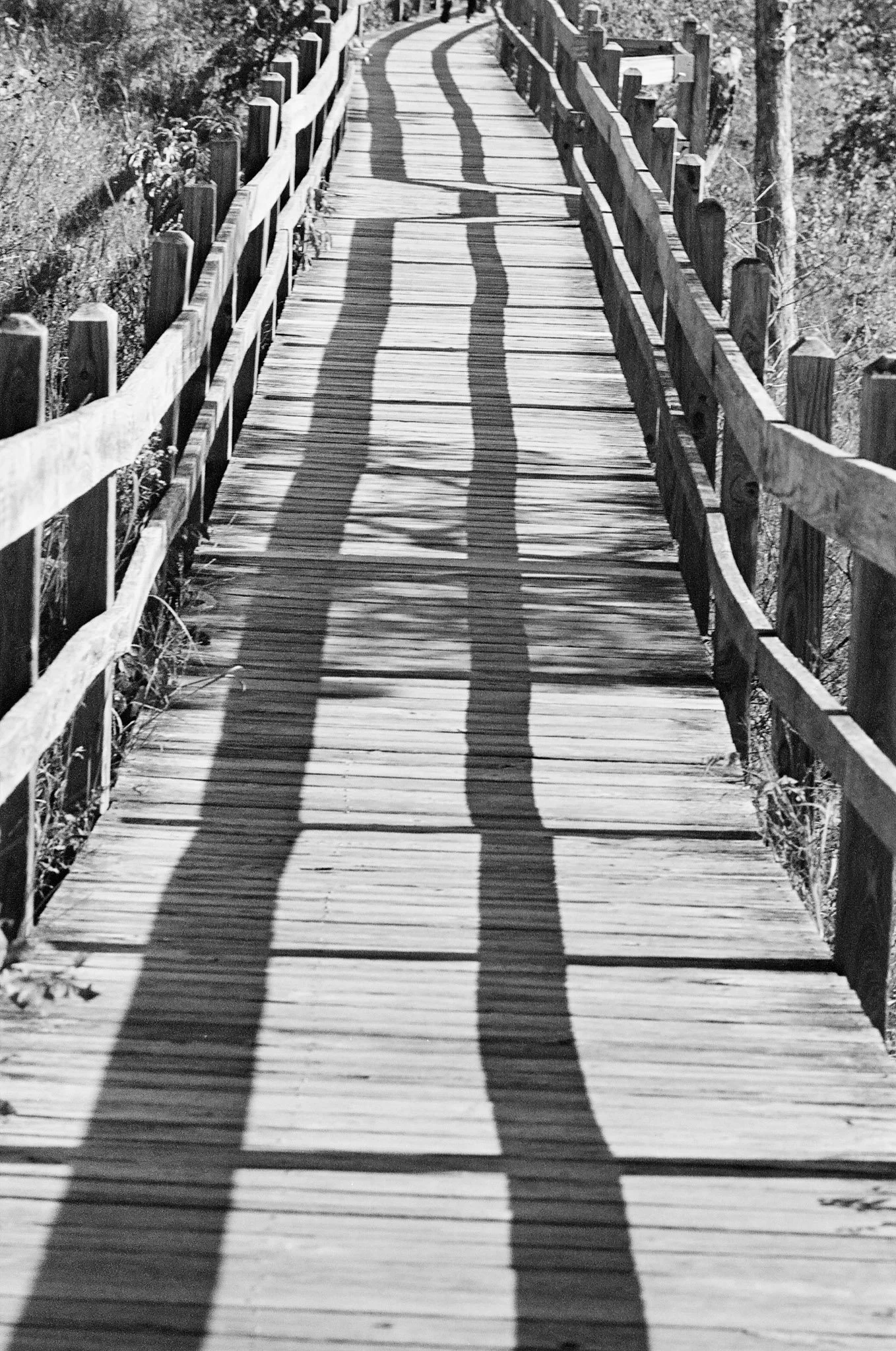 Ha Ha Tonka State Park | Missouri