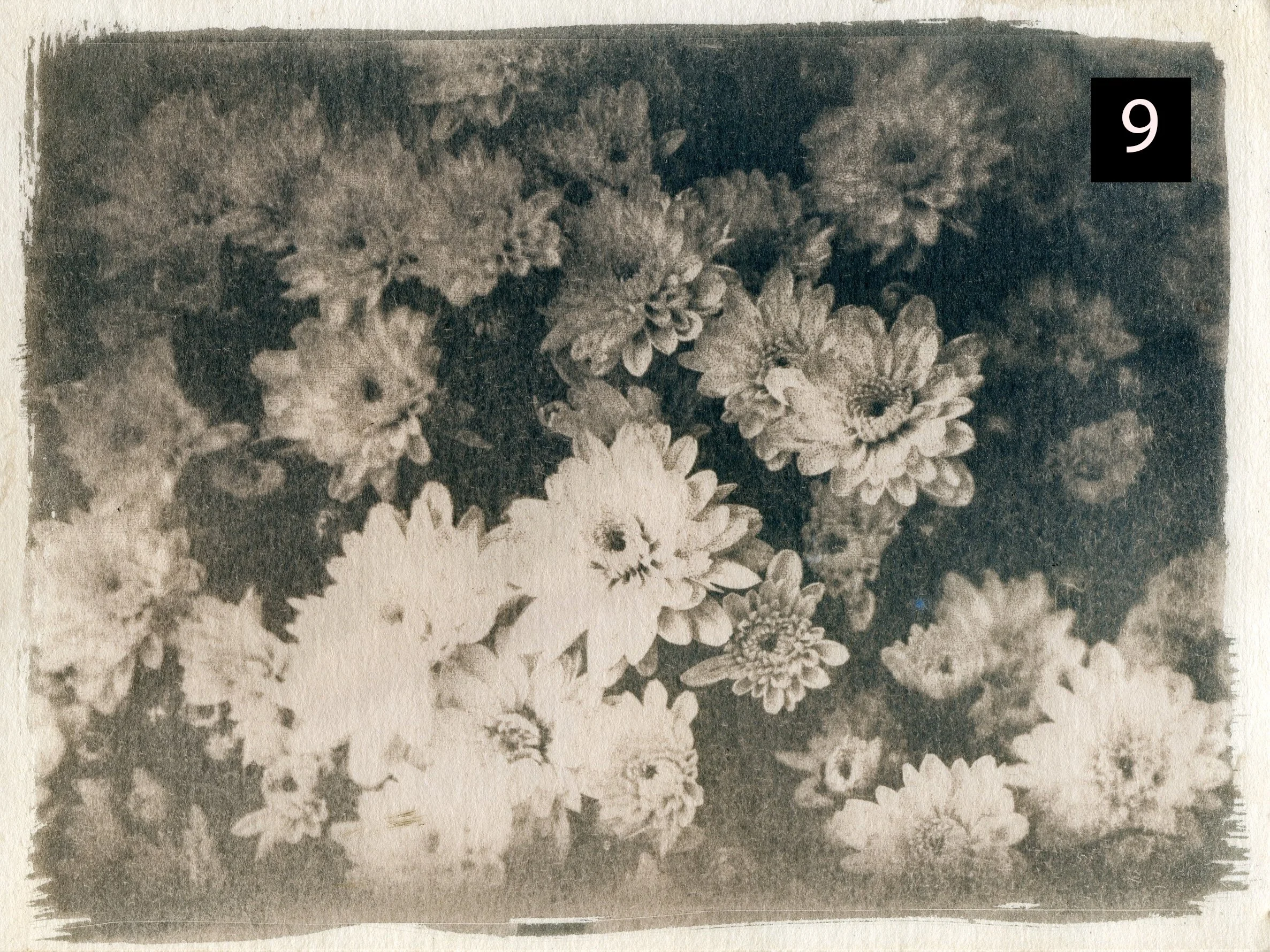 Flowers009 number.jpg