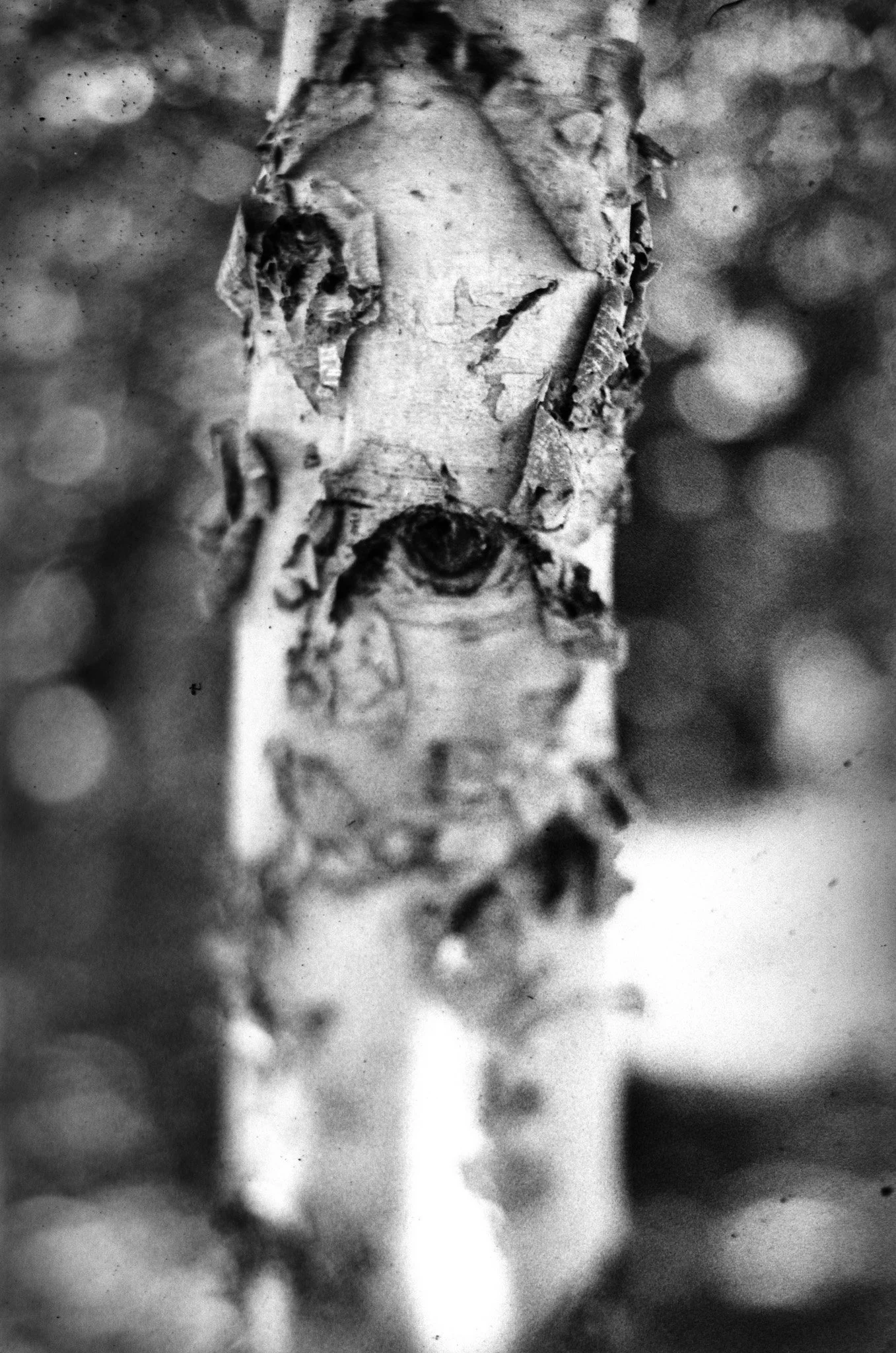 DSC_0469.jpg