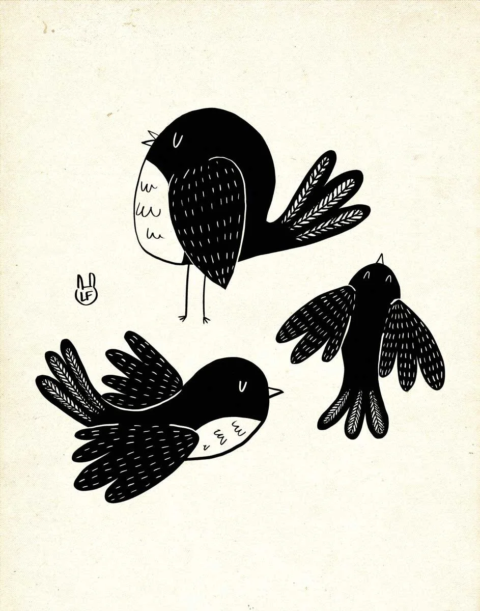 Junco.jpg