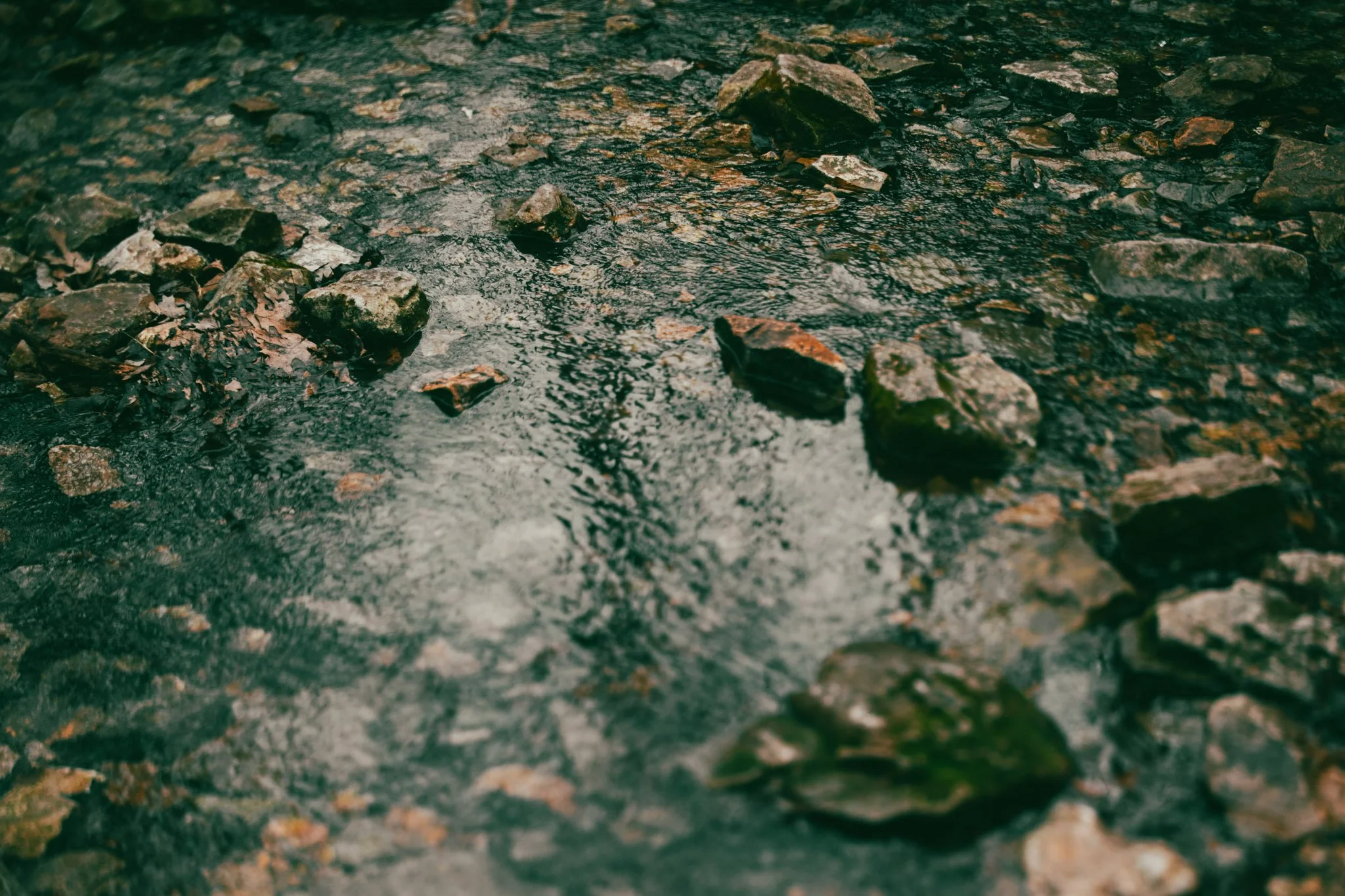 Rockbridge State Park | Missouri