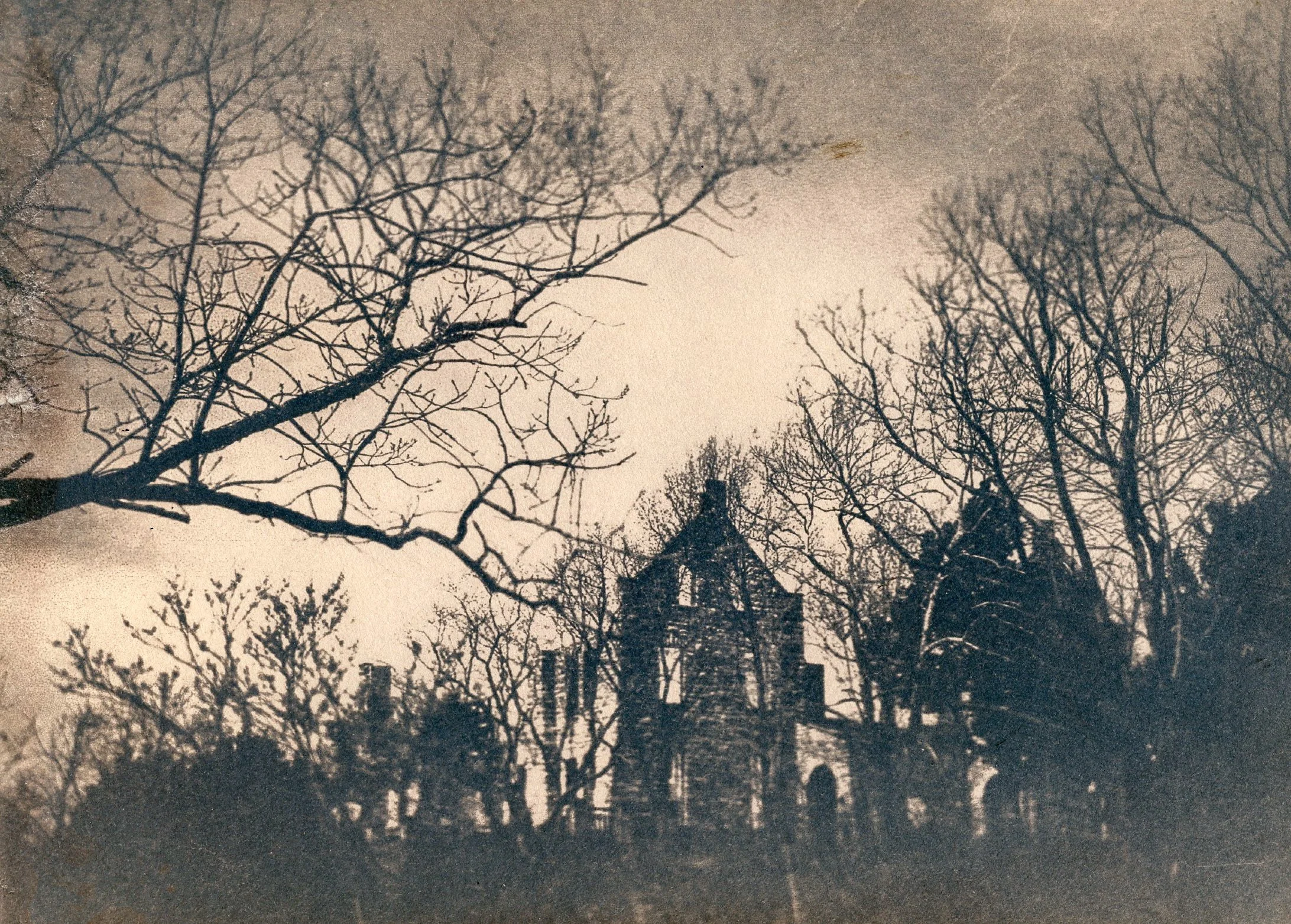"The Curse of Ha Ha Tonka III" Cyanotype Prints