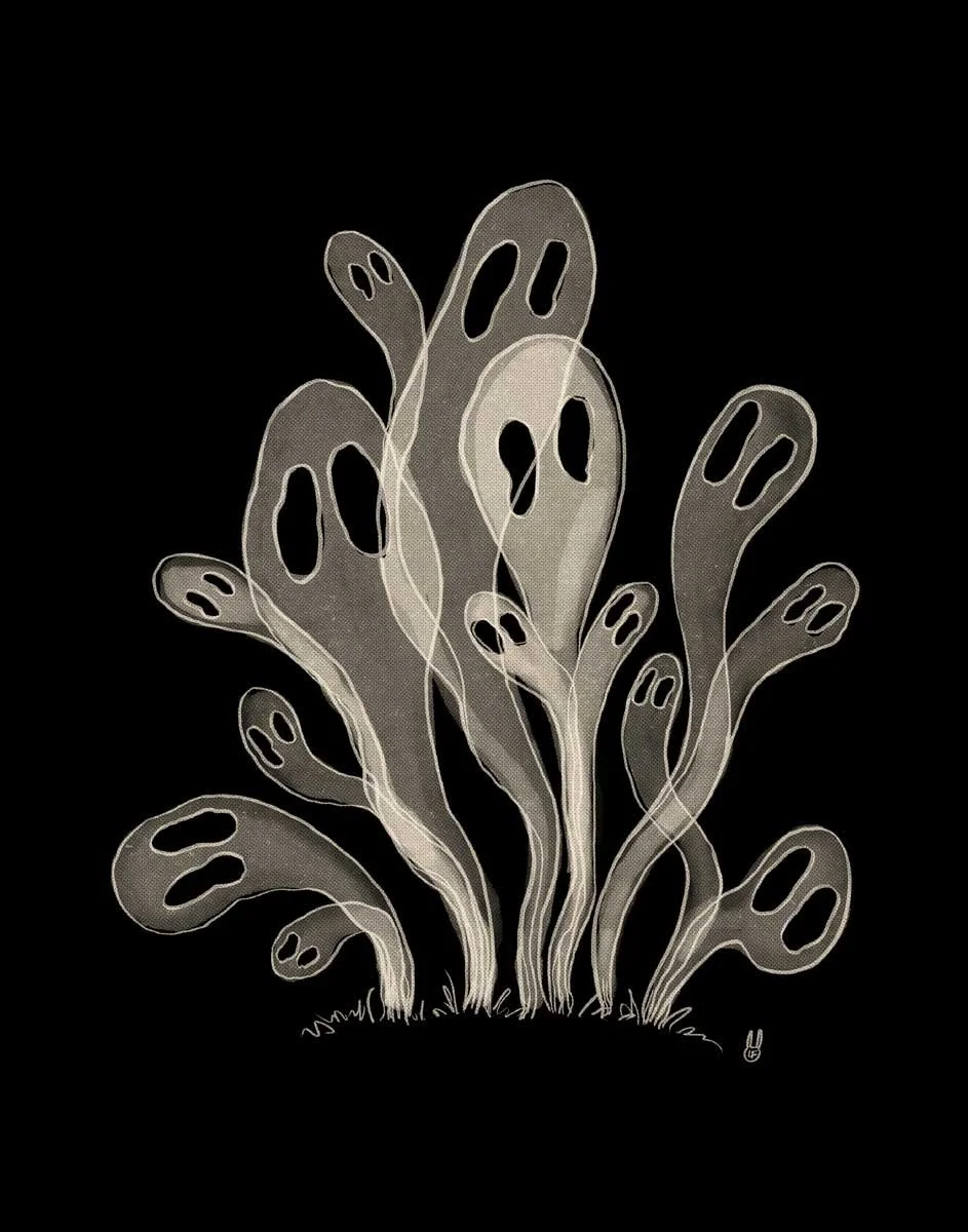 Ghost-Flower.jpg