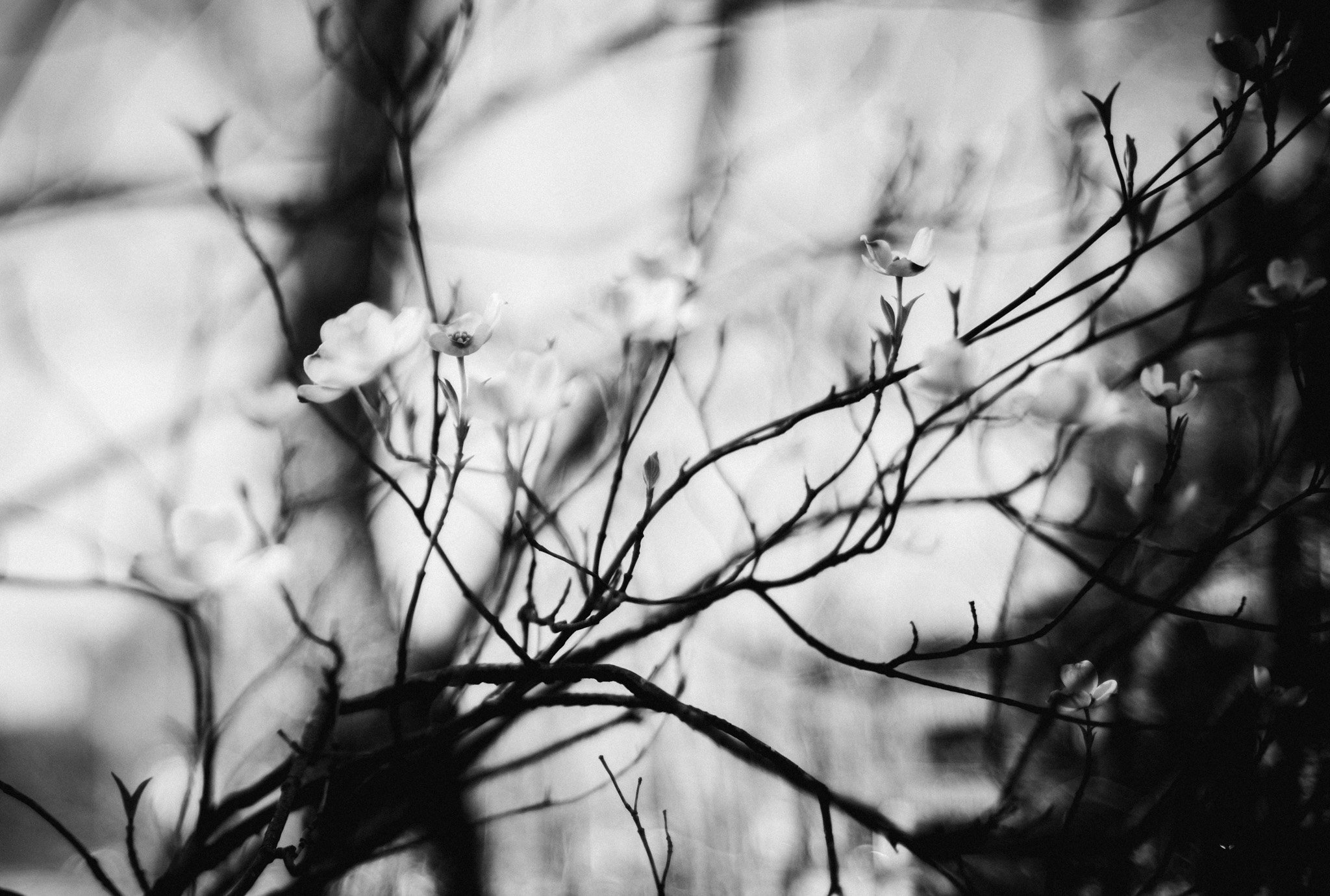 DSC_0022-3.jpg