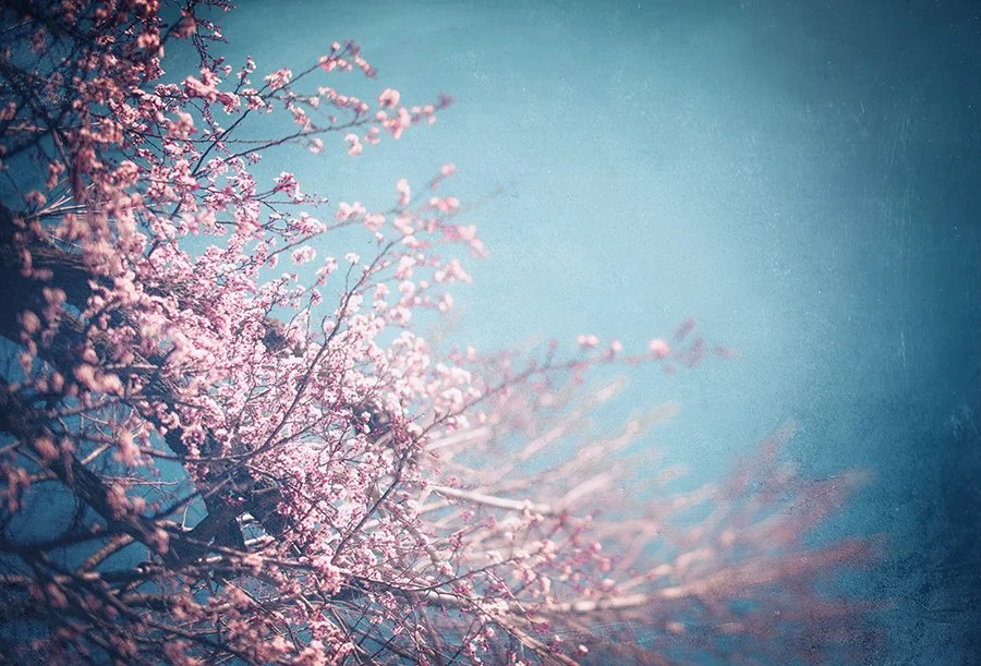 DSC_0087-3 texture.jpg