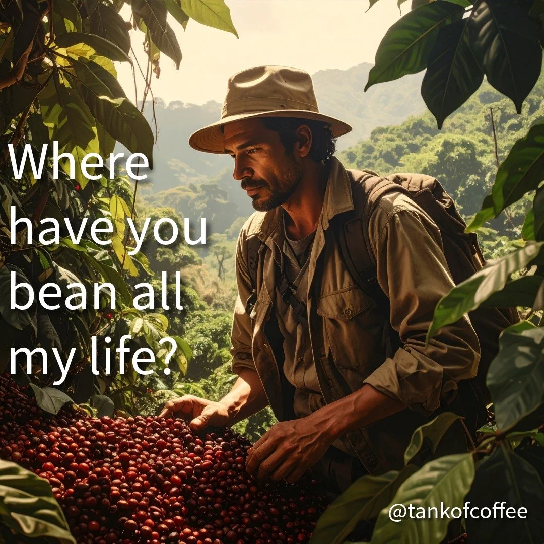 What is the furthest you've gone for coffee?

#coffee #explore #search #beans #tankofcoffee