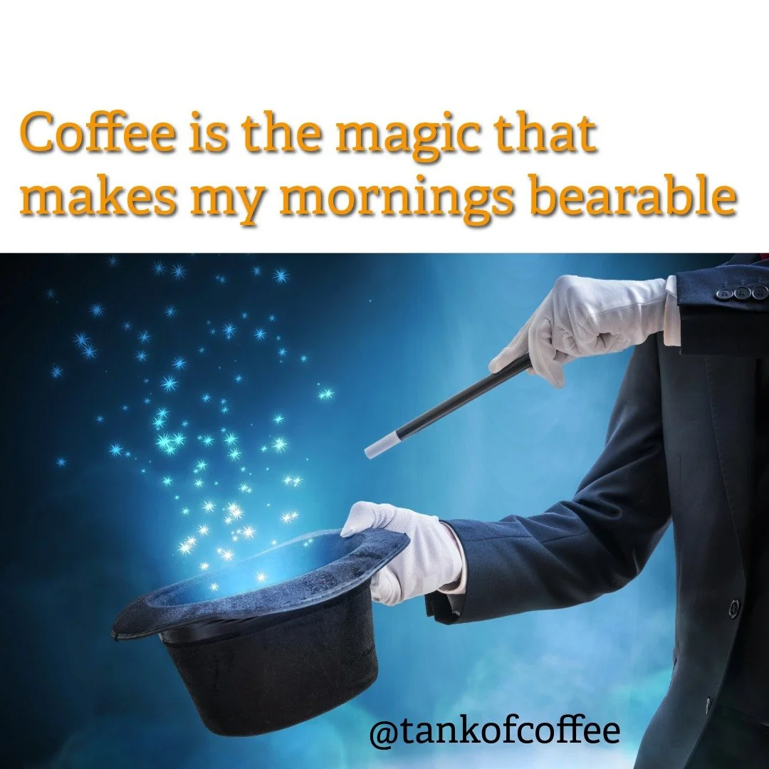 How much coffee makes your morning bearable?

#coffee #bearable #morning #tankofcoffee