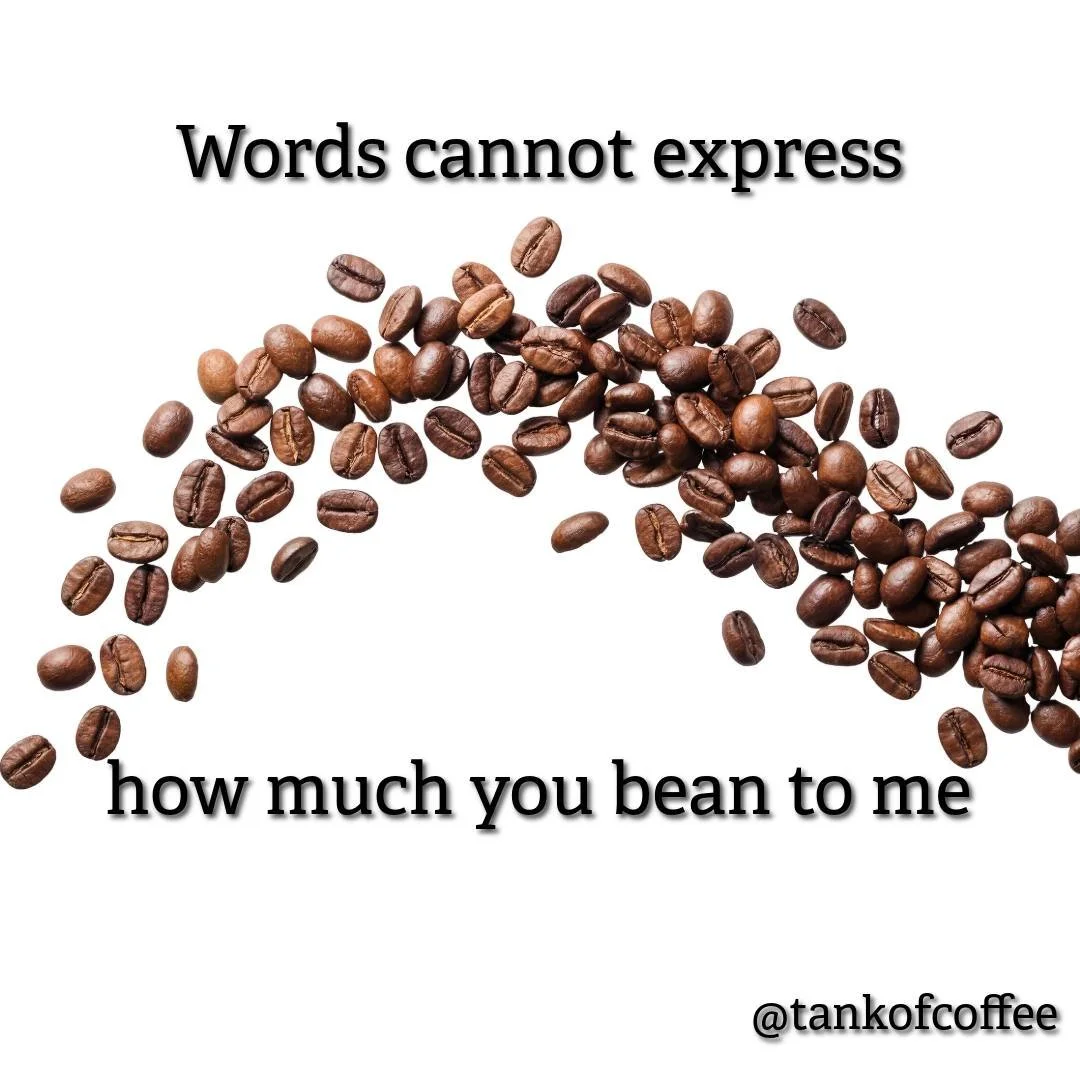 What matters roast to you?

#coffee #bean #roast #meaning #tankofcoffee