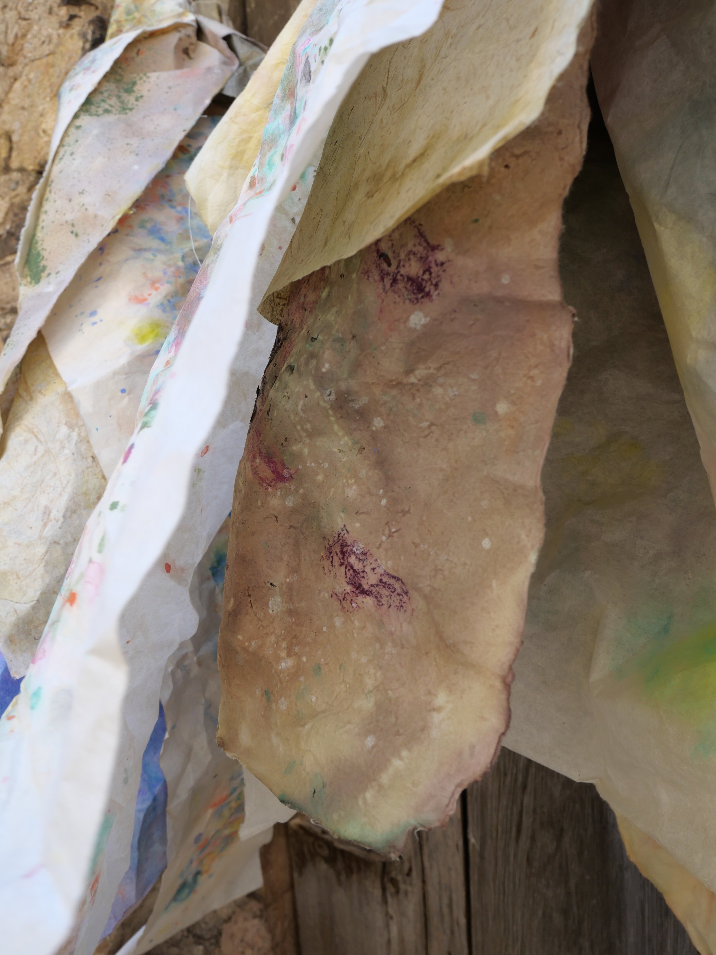 maria marvila - entre la runa, la flor, 2025