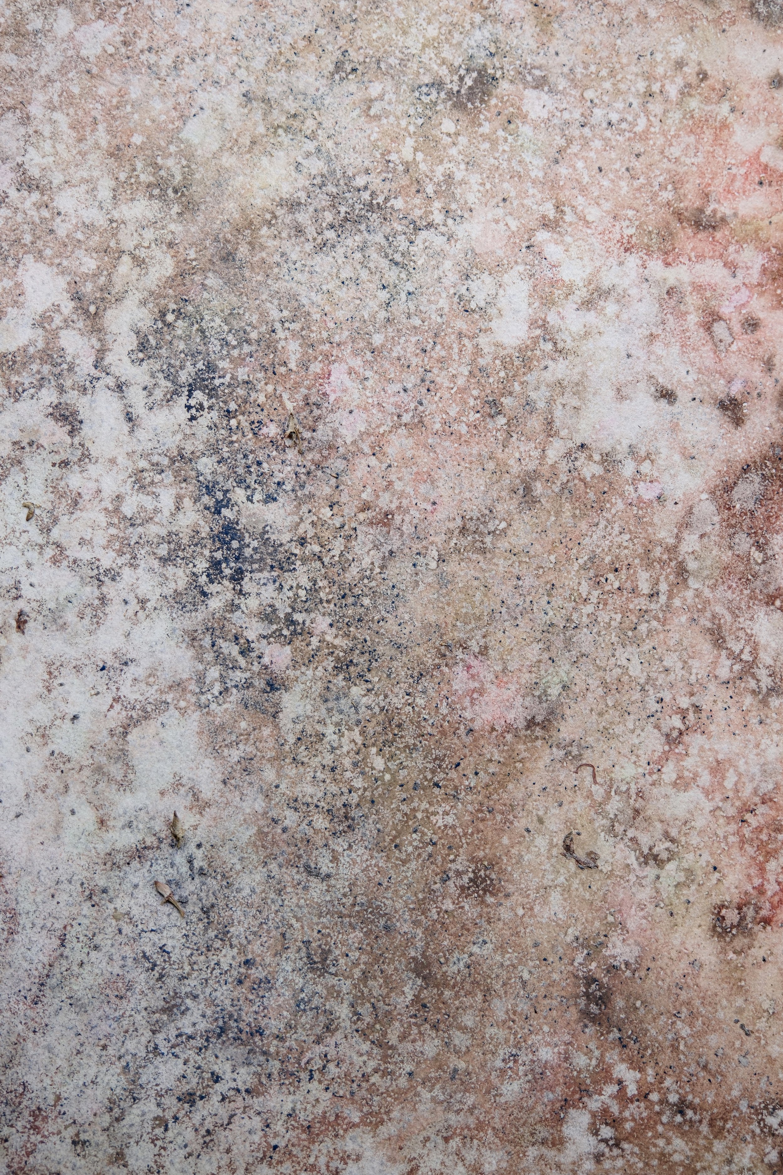 maria marvila - hidrografies, 2025