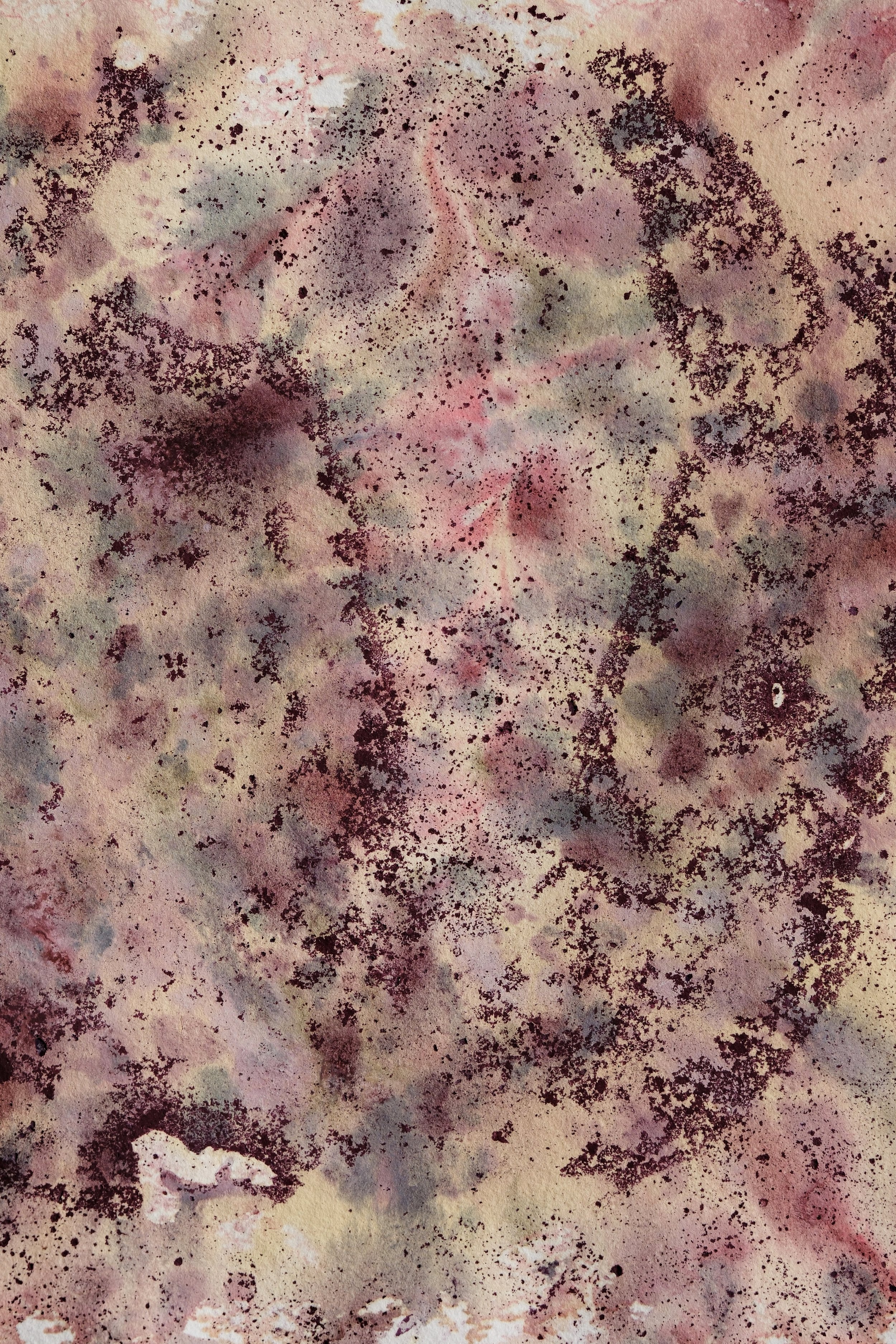 maria marvila - estuaris, 2026