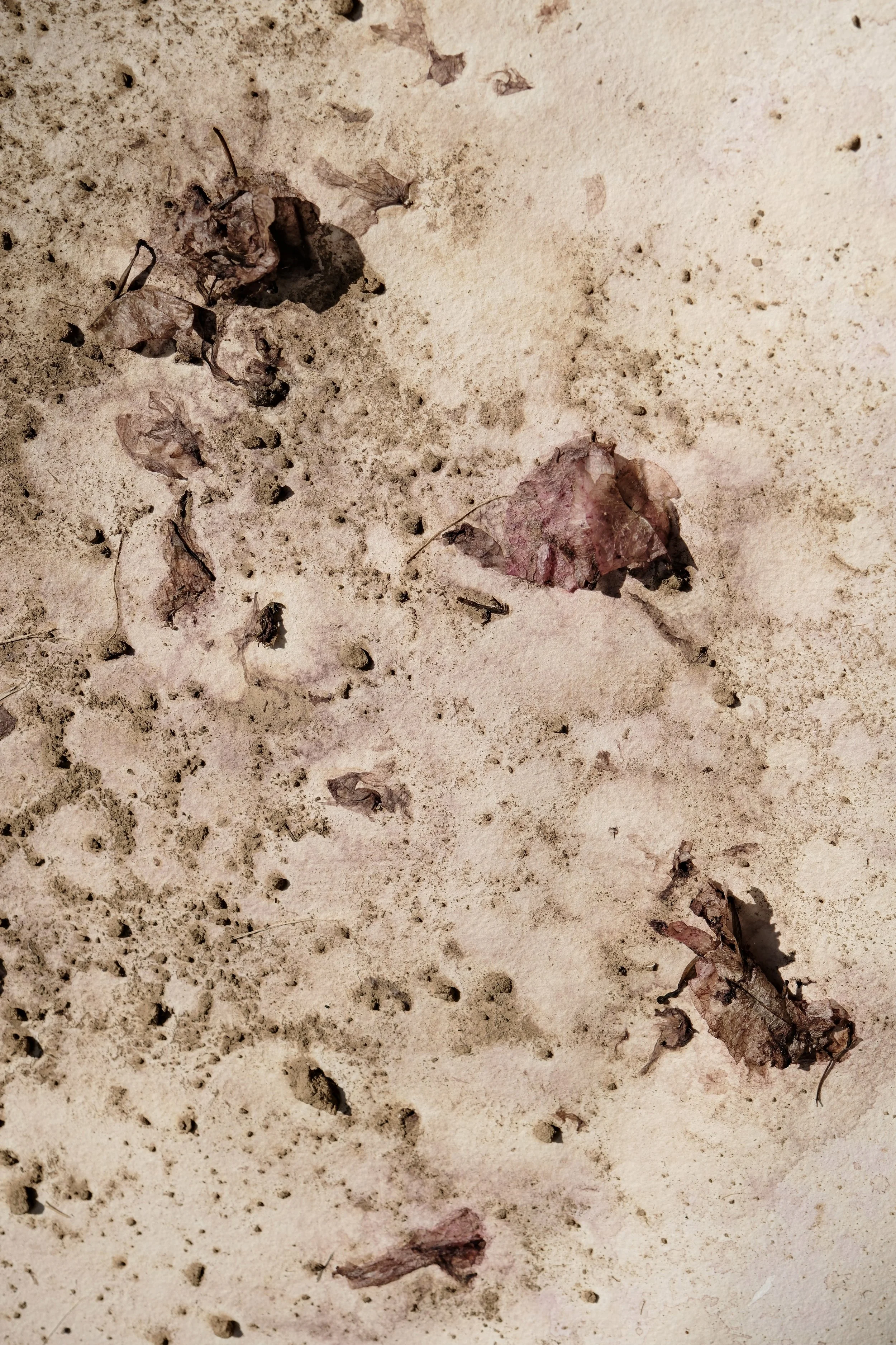 maria marvila - les noces de canà, 2025