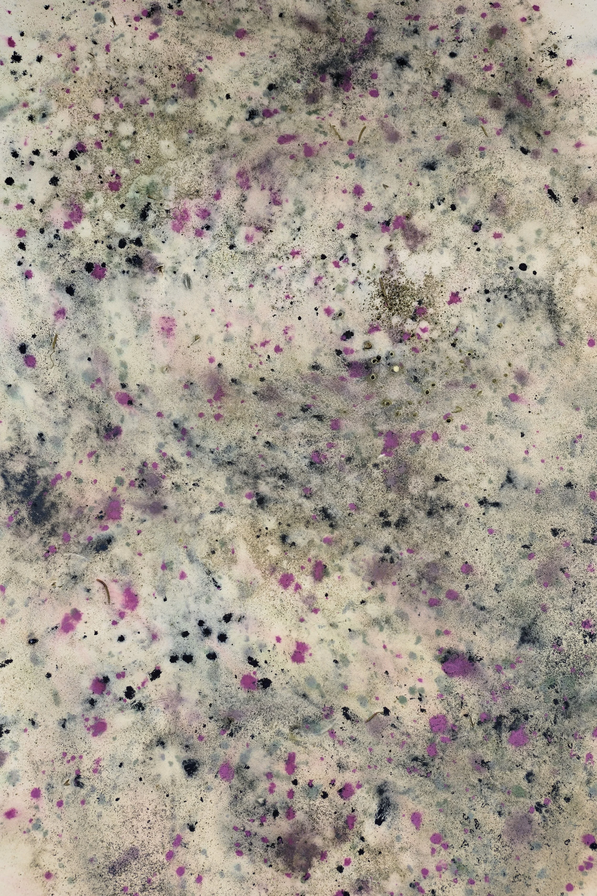 aquarela gansai i flors d'hivern 2.JPG