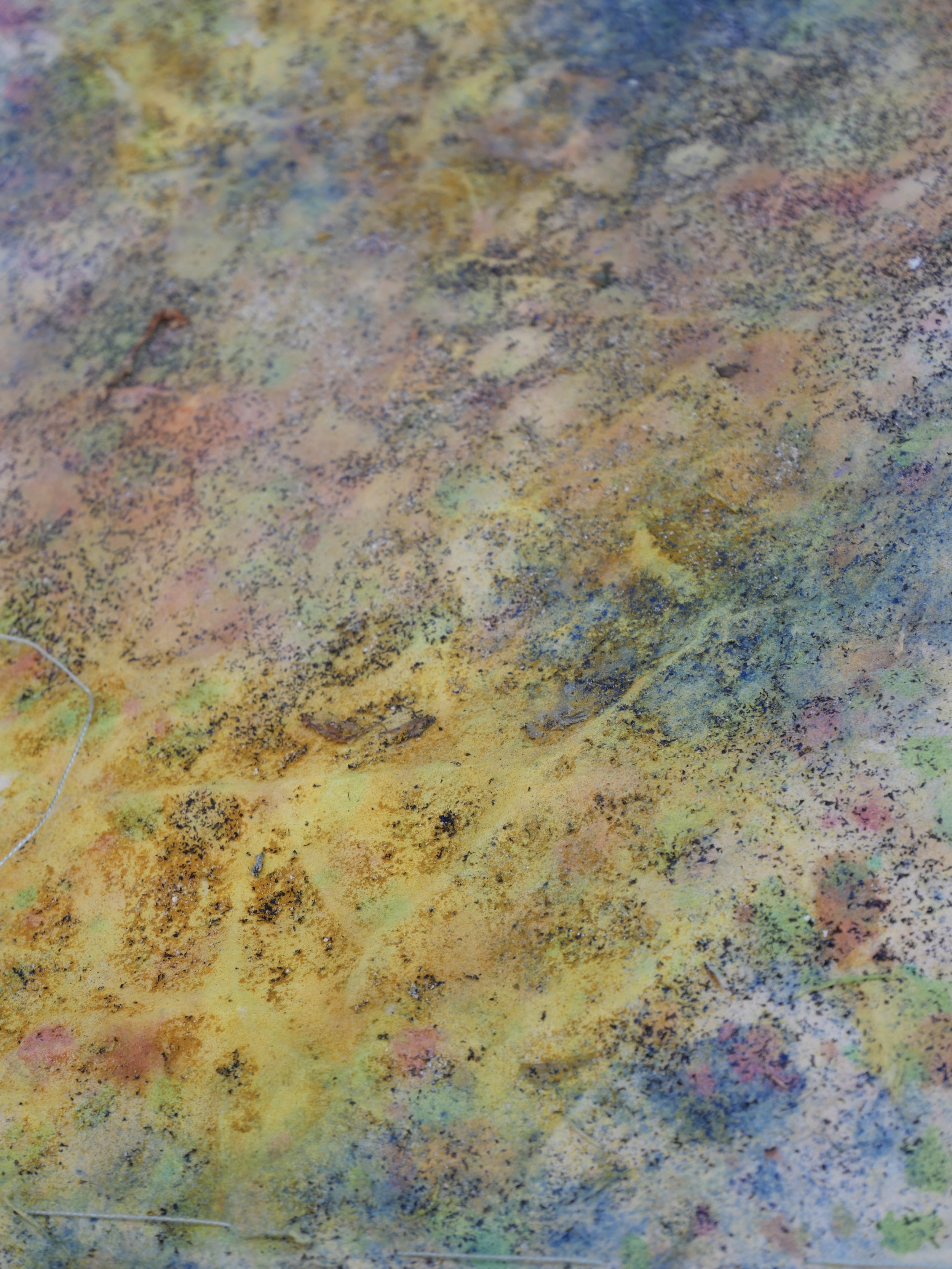 maria marvila - entre la runa, la flor, 2025