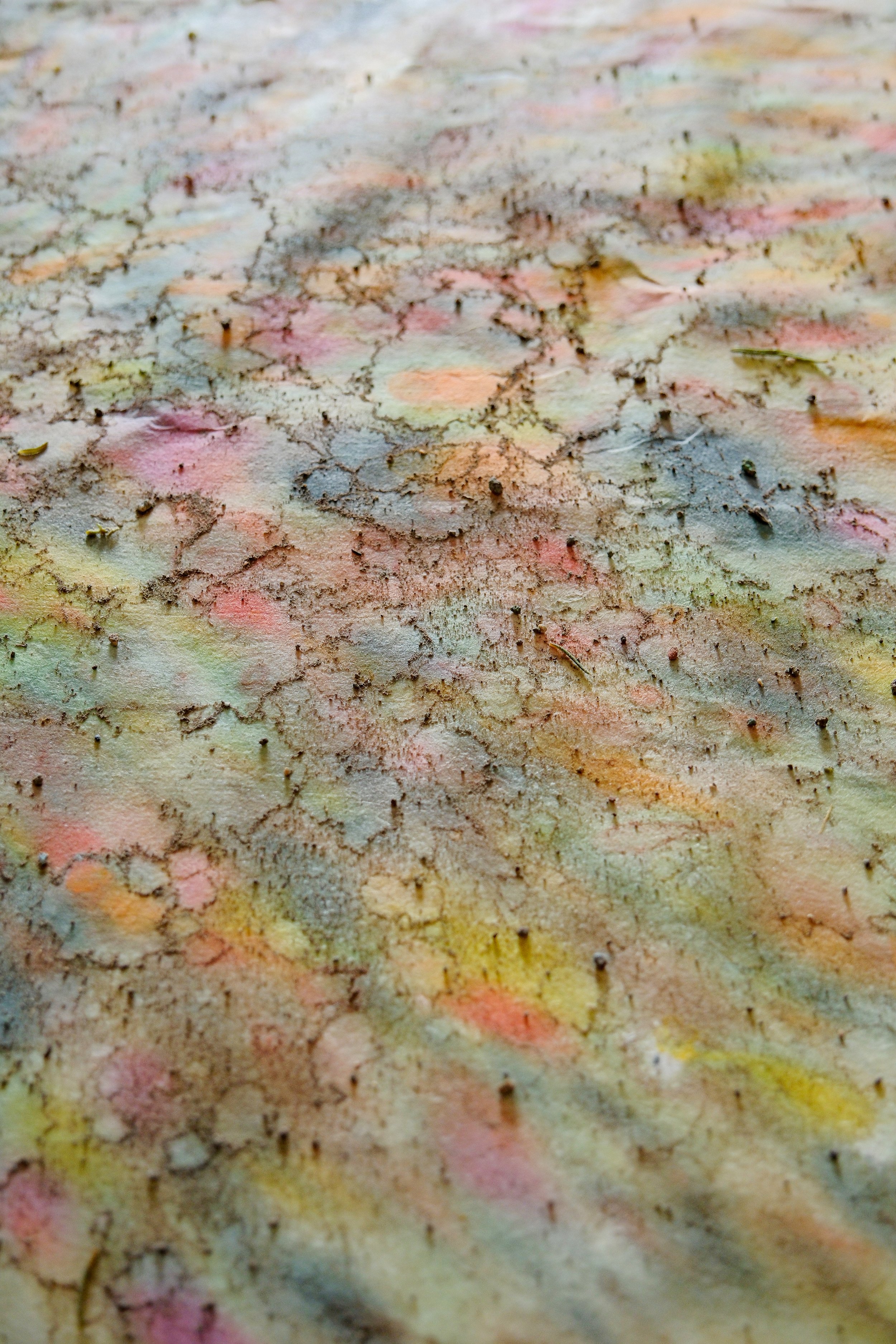 maria marvila - hidrografies d'hivern, 2025