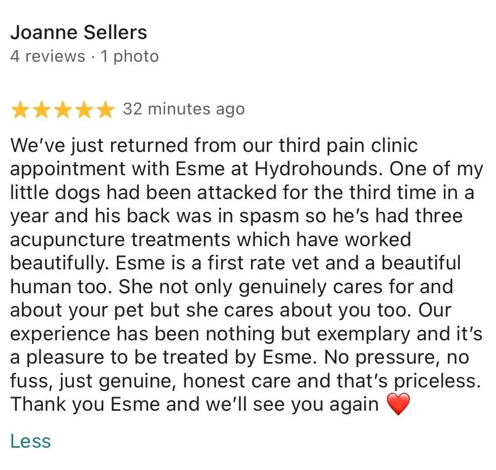 One of the best decisions we ever made was bringing Dr Esme @whiskers.wellness.wirral in to our pack 🐾💙

The work she has done and continues to do for our patients has been more than we ever thought possible. Some of our most complex cases, particu