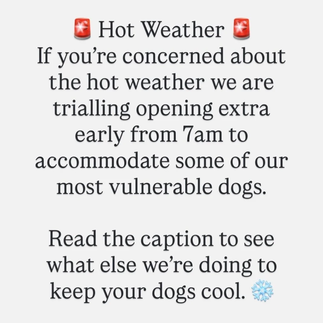 We had GREAT feedback on how we handled the last heatwave. So here&rsquo;s what we&rsquo;re doing as a reminder&hellip;

- Less chat&hellip;more swimming! We will get your dogs ready and in the pool extra fast so that they get in the cool water asap.