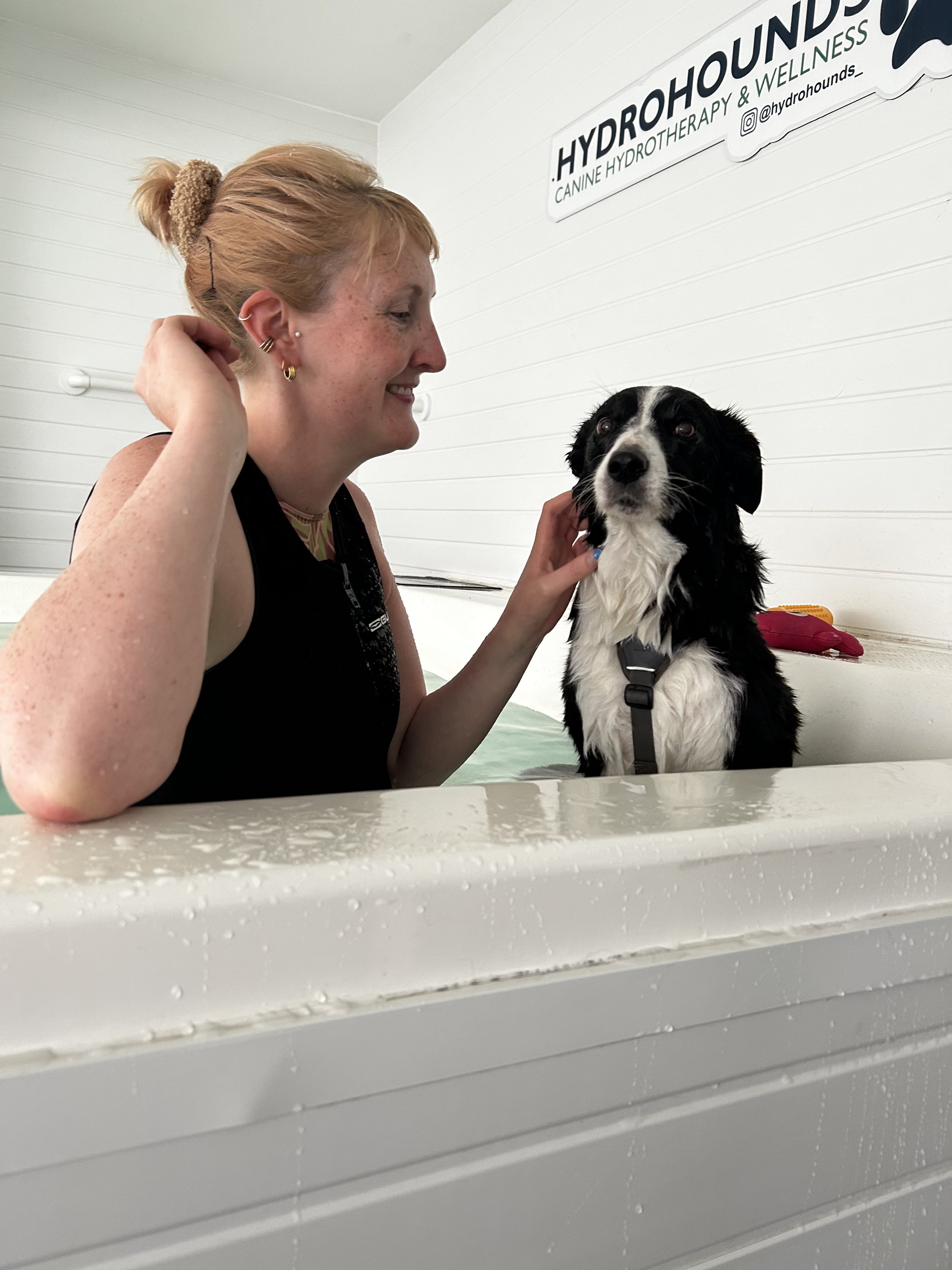 In a dog hydrotherapy & veterinary physiotherapy facility.